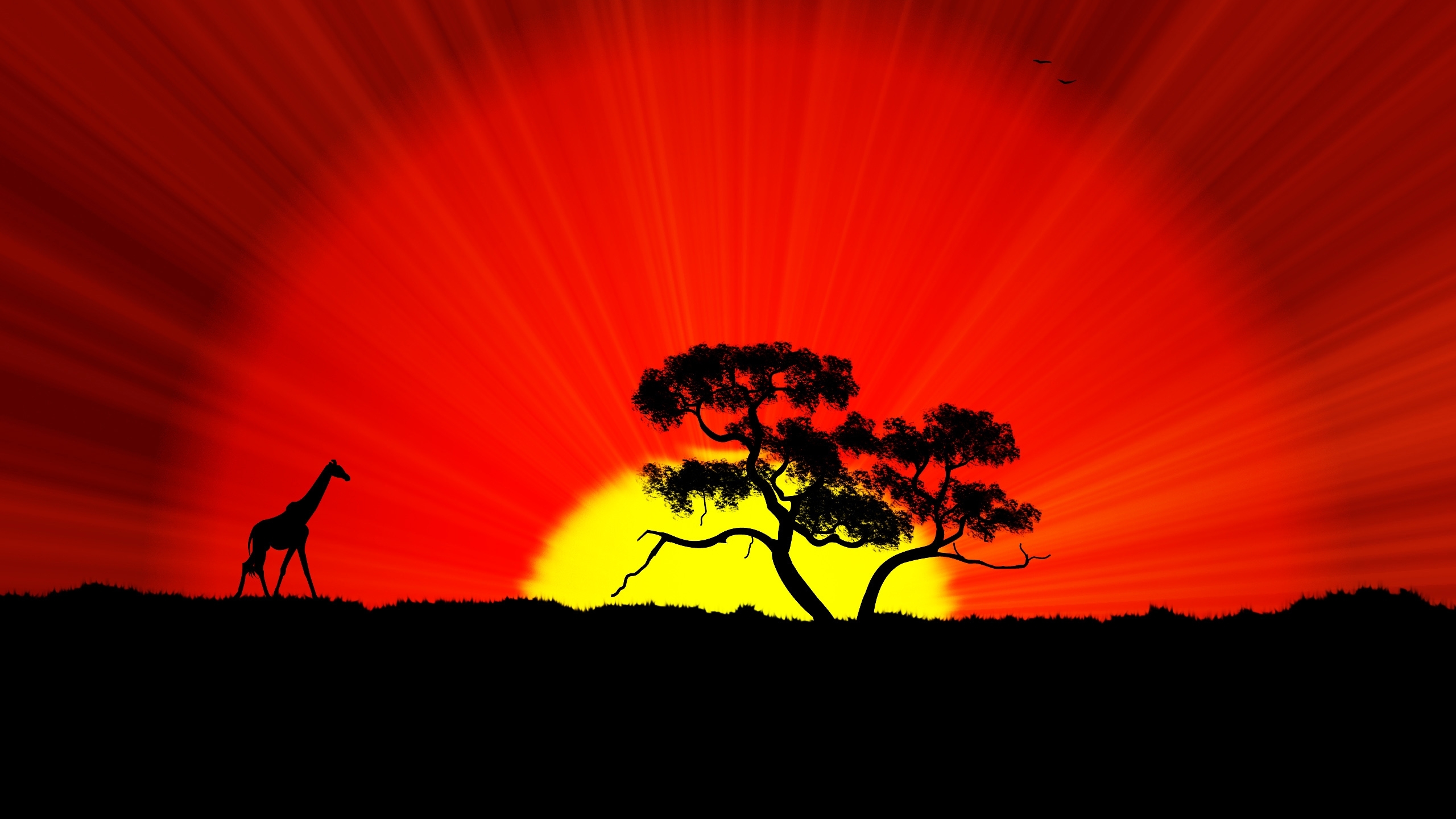 Africa Hd Wallpapers