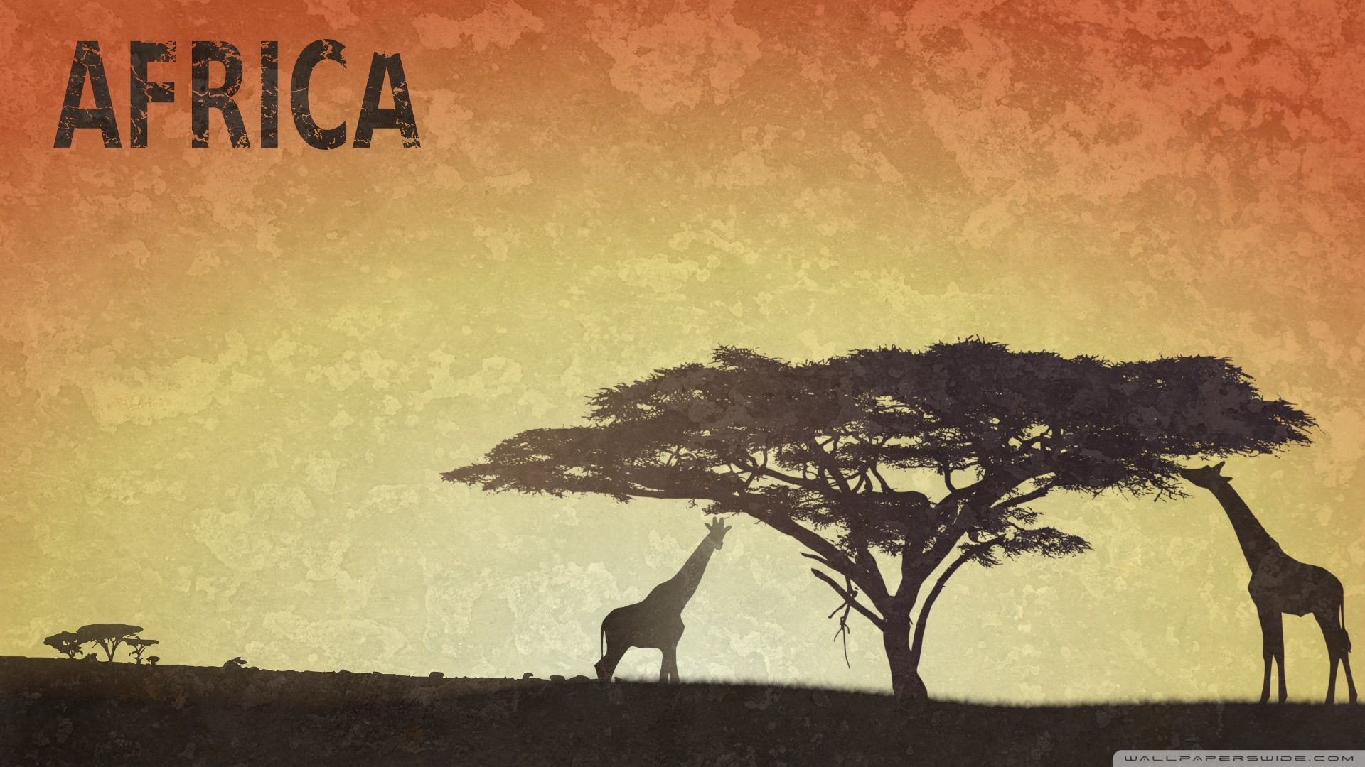 Africa Hd Wallpapers