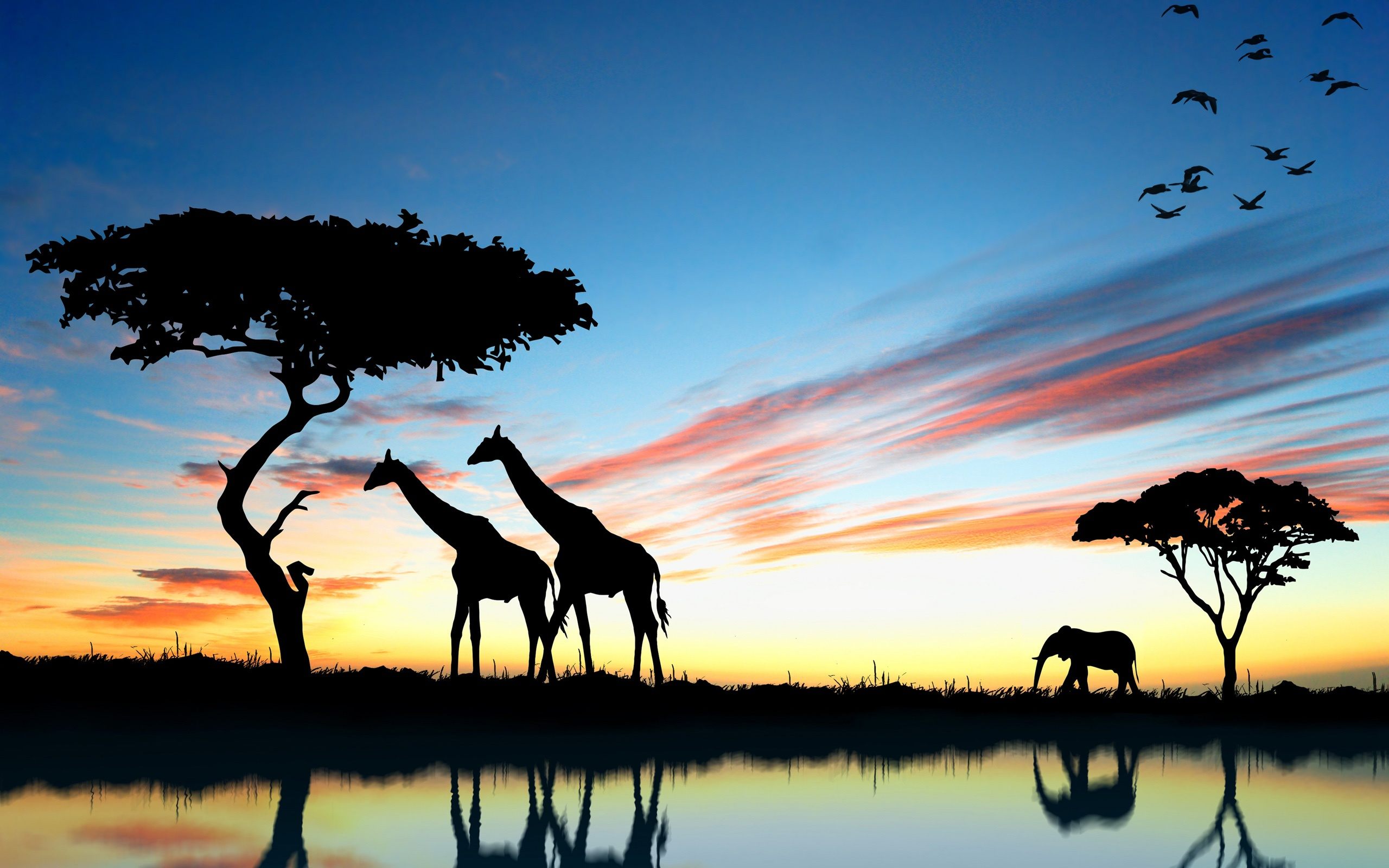 Africa Hd Wallpapers