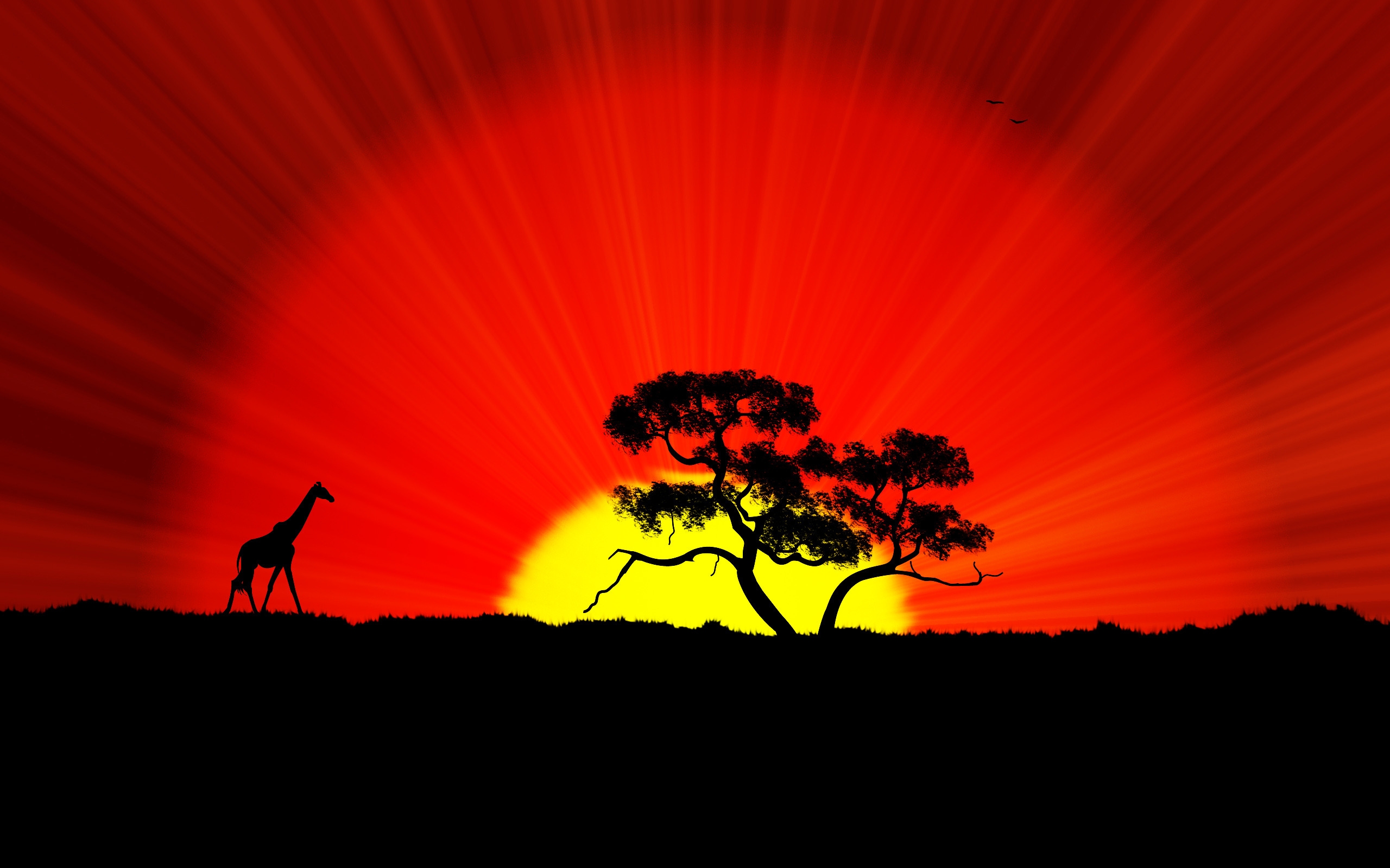 Africa Hd Wallpapers