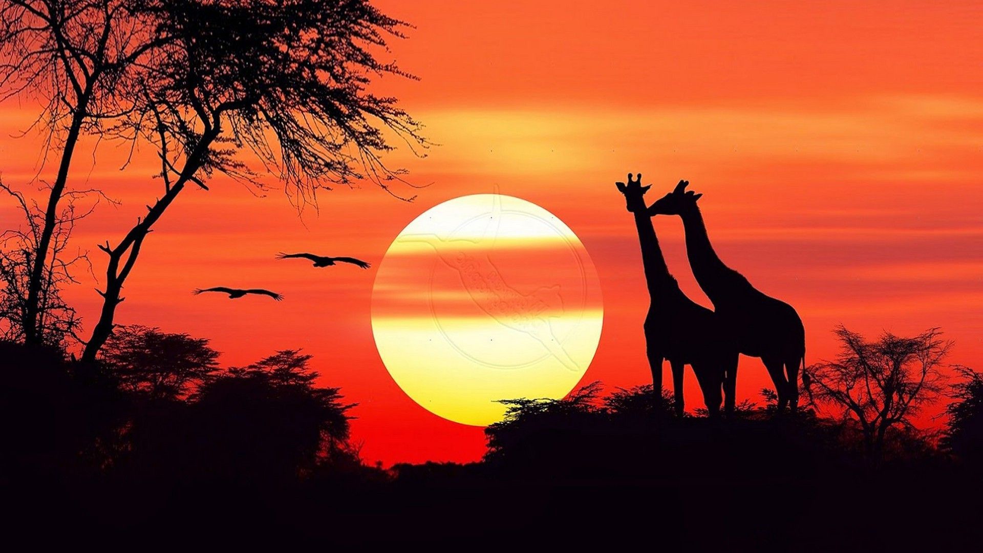 Africa Hd Wallpapers