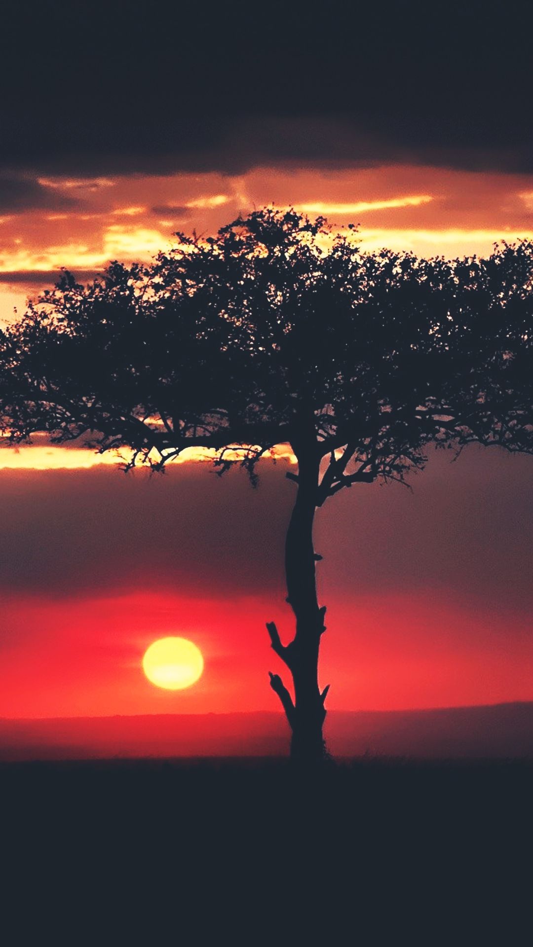 African Iphone Wallpapers