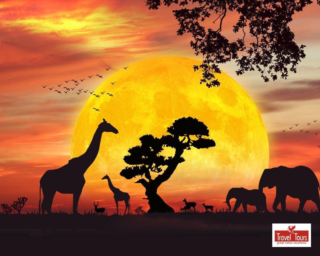 African Safari Wallpapers