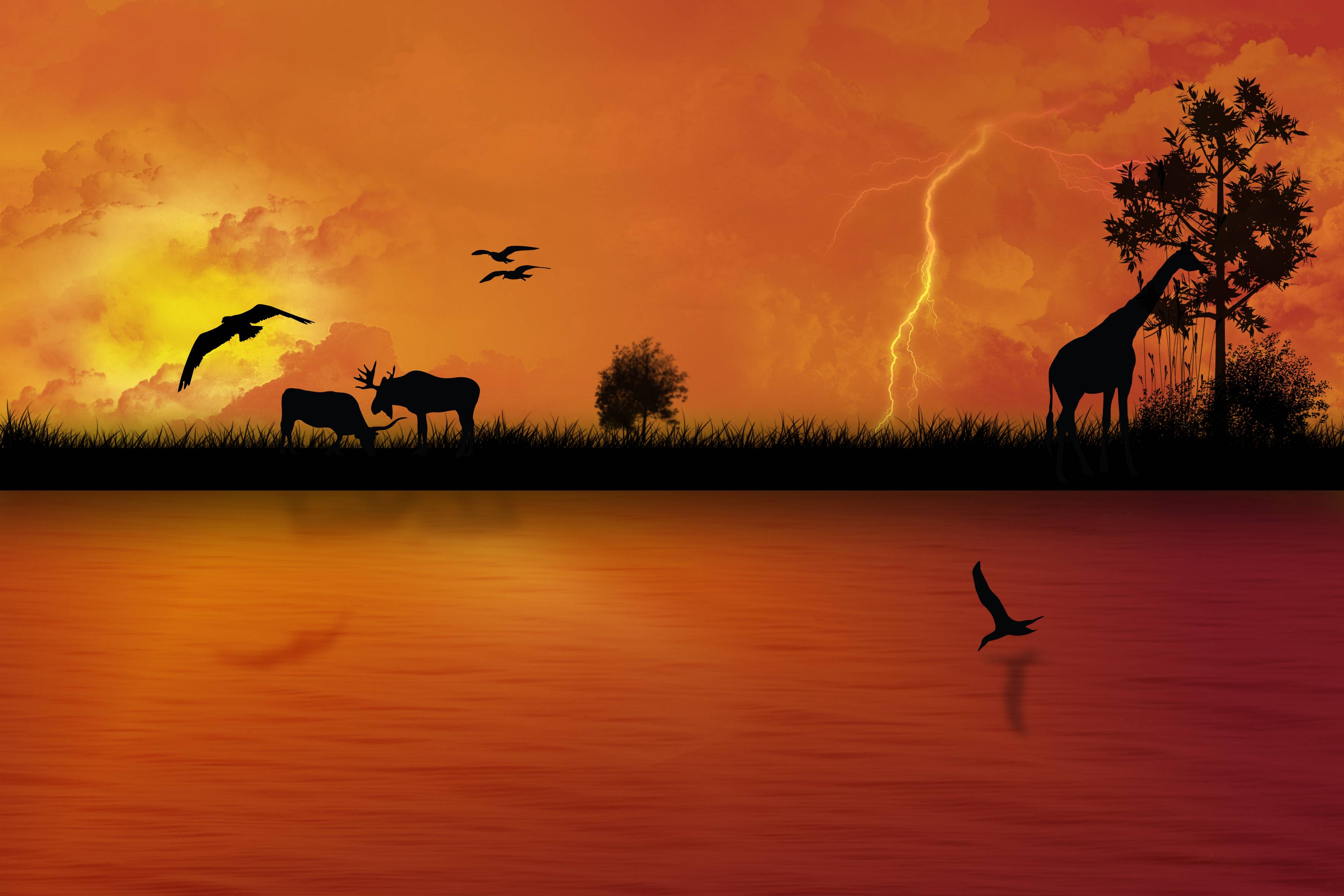 African Safari Wallpapers