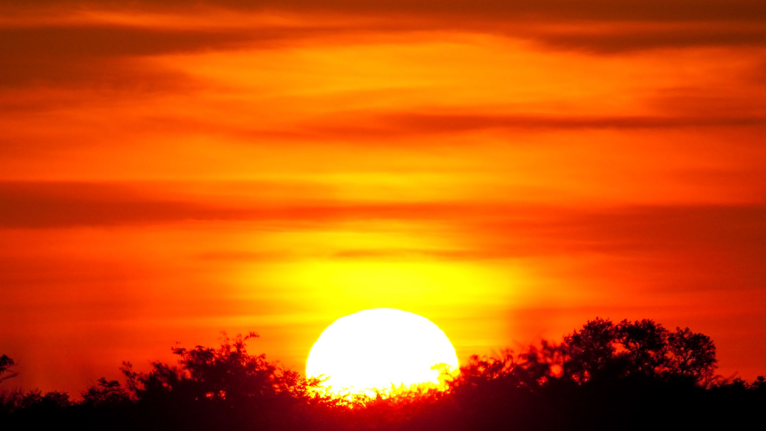 African Sunset Wallpapers