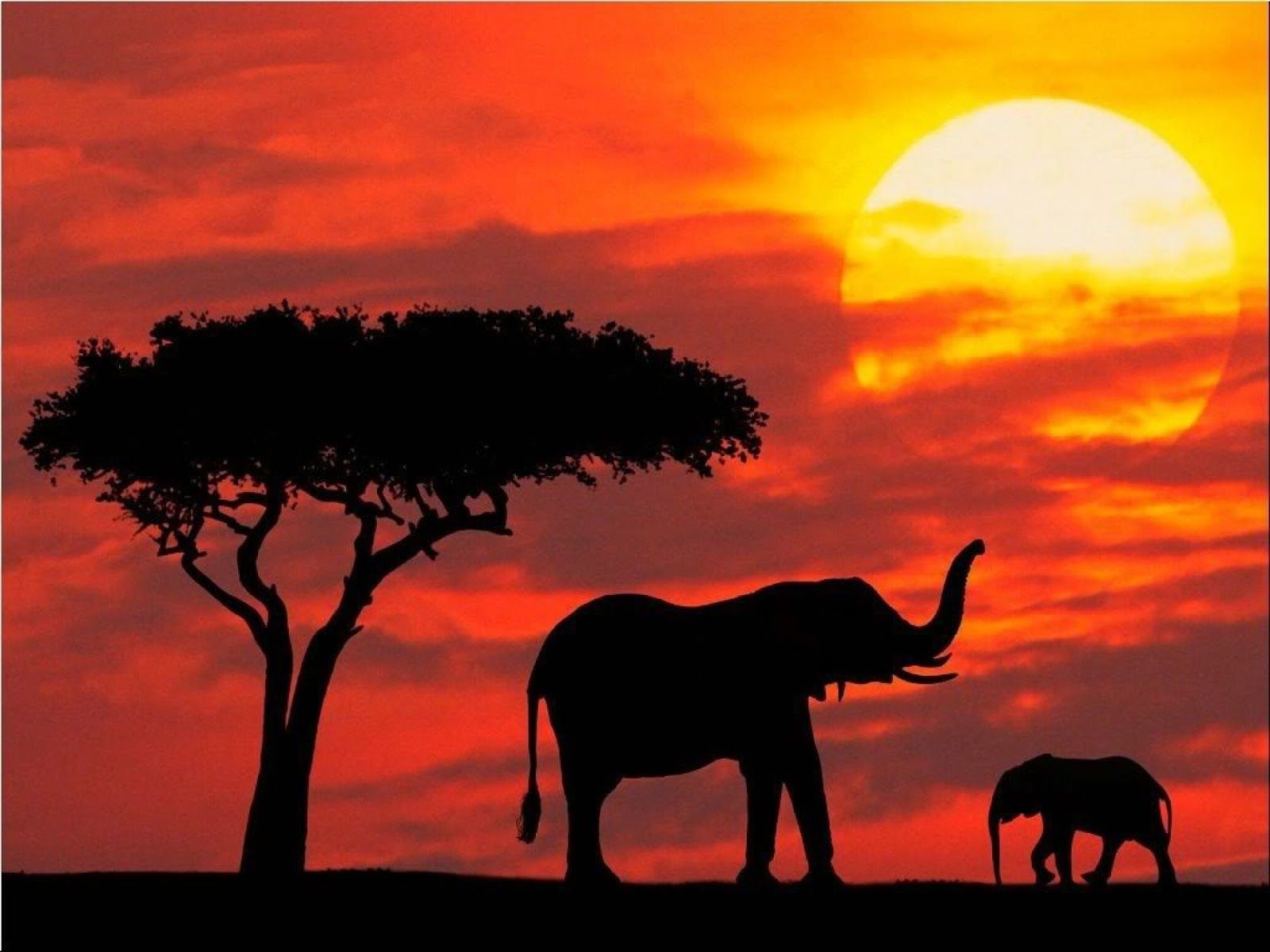 African Sunset Wallpapers