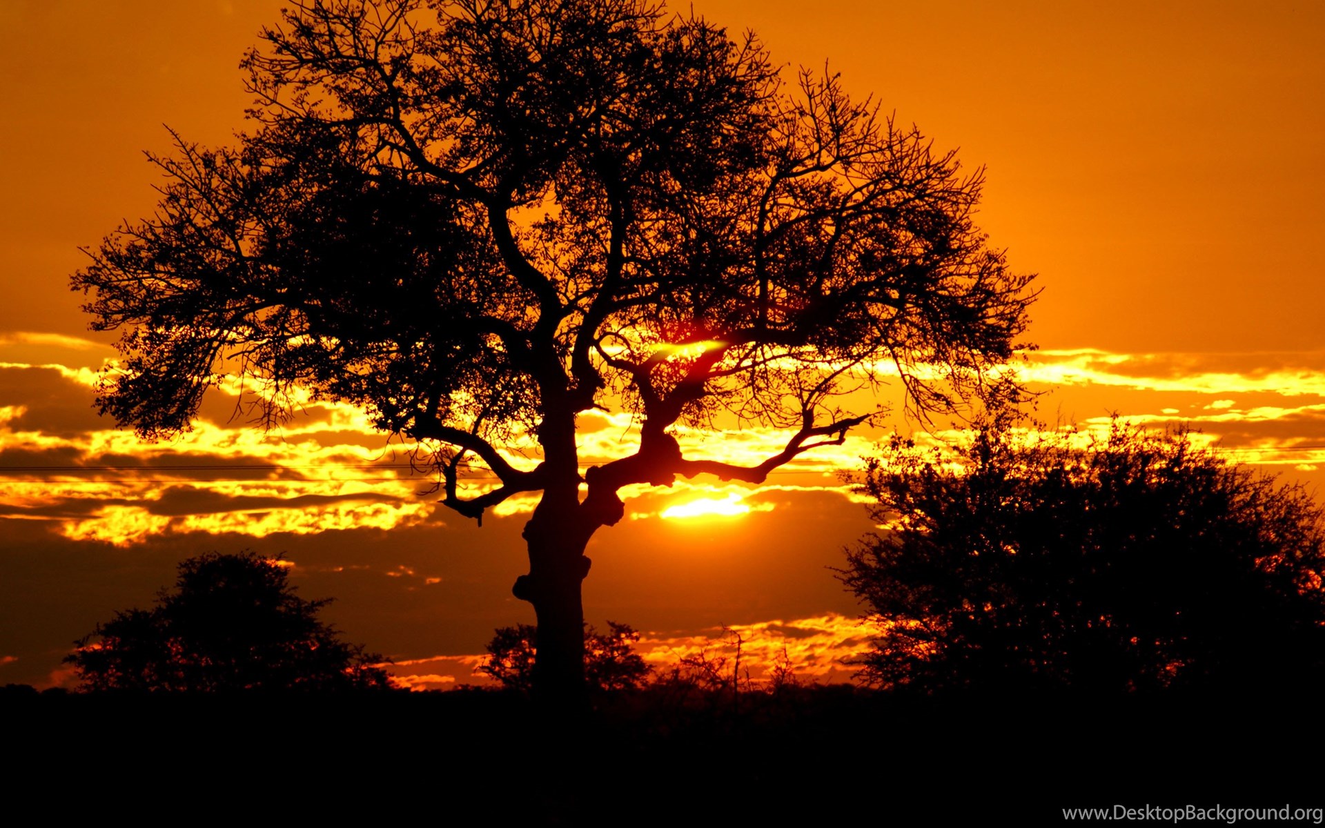African Sunset Wallpapers