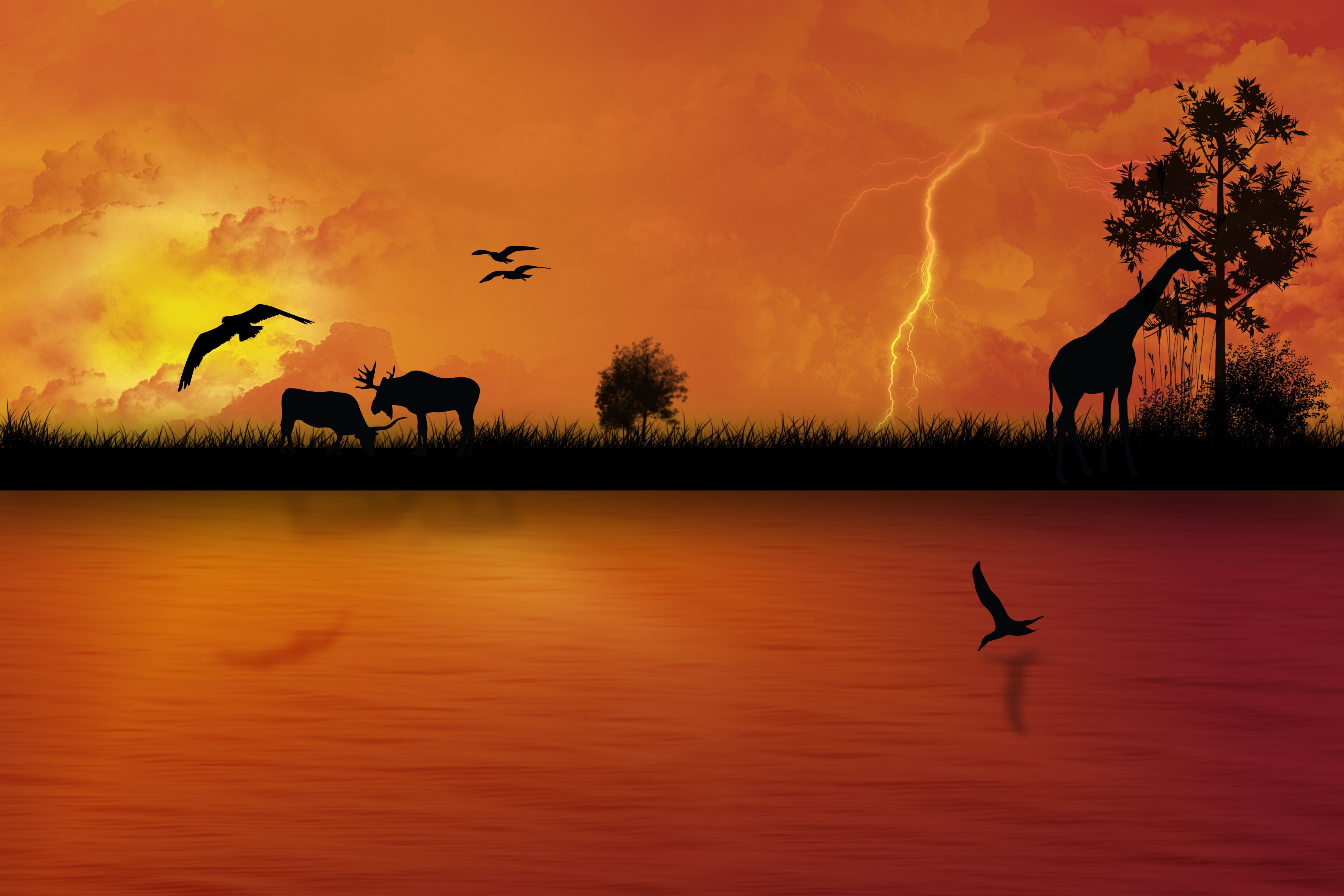 African Sunset Wallpapers