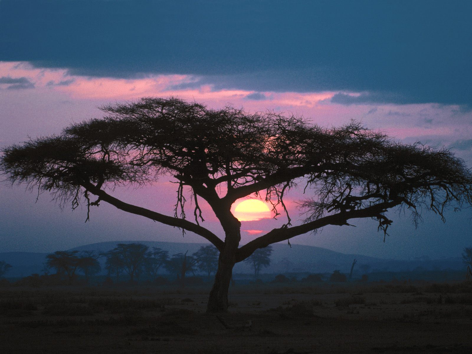 African Sunset Wallpapers