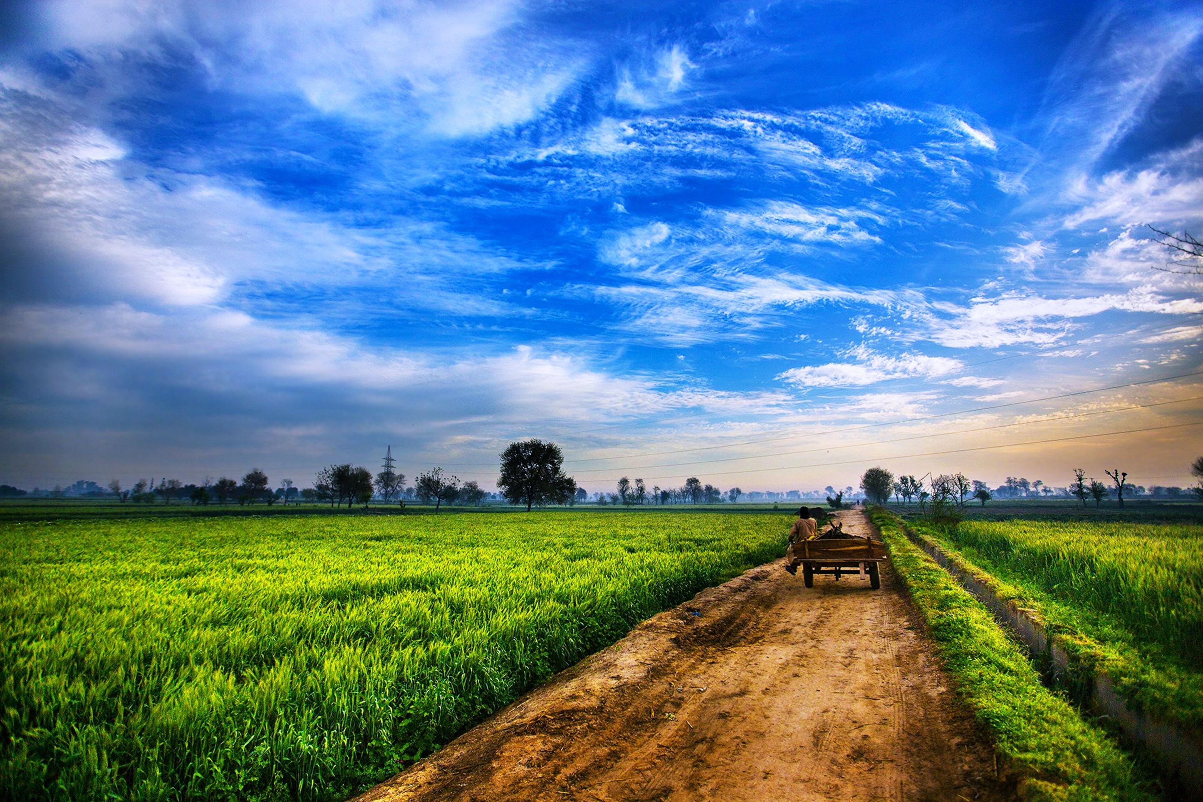 Agriculture Wallpapers