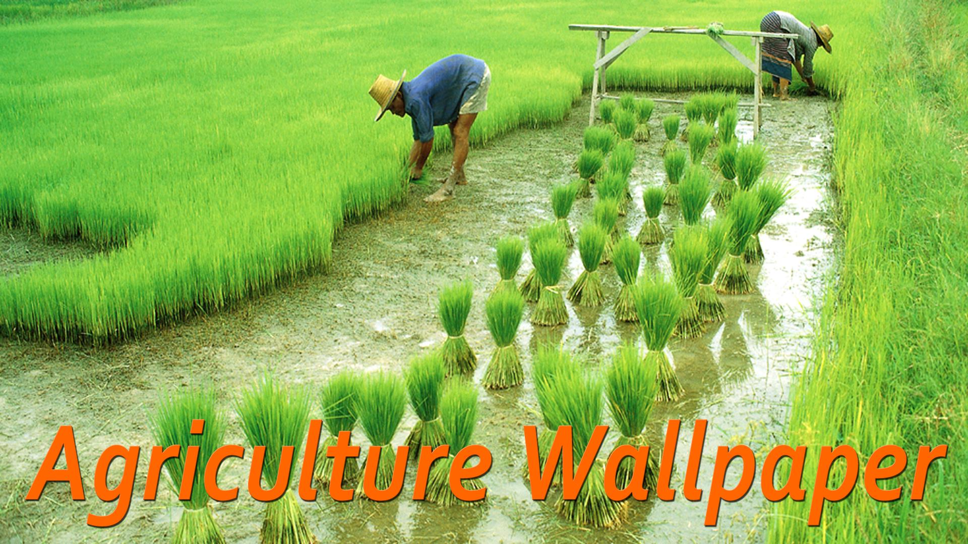 Agriculture Wallpapers