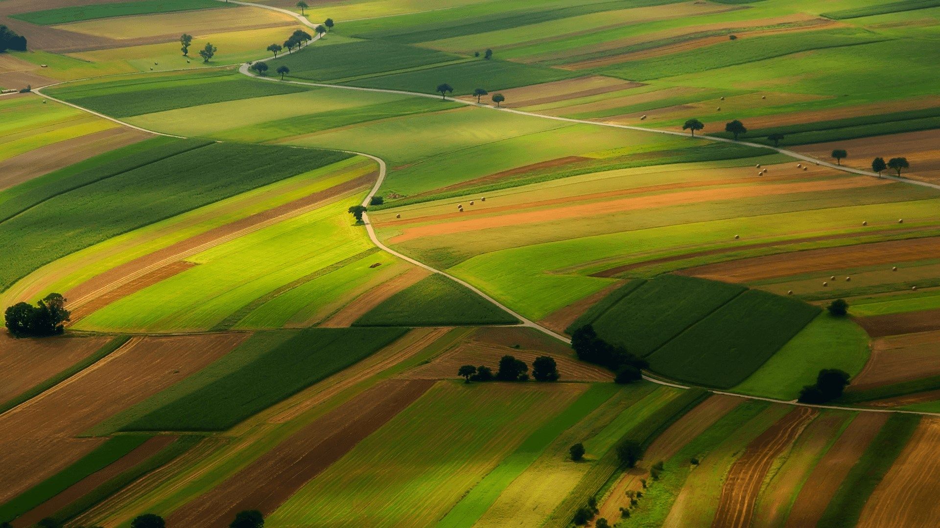 Agriculture Wallpapers