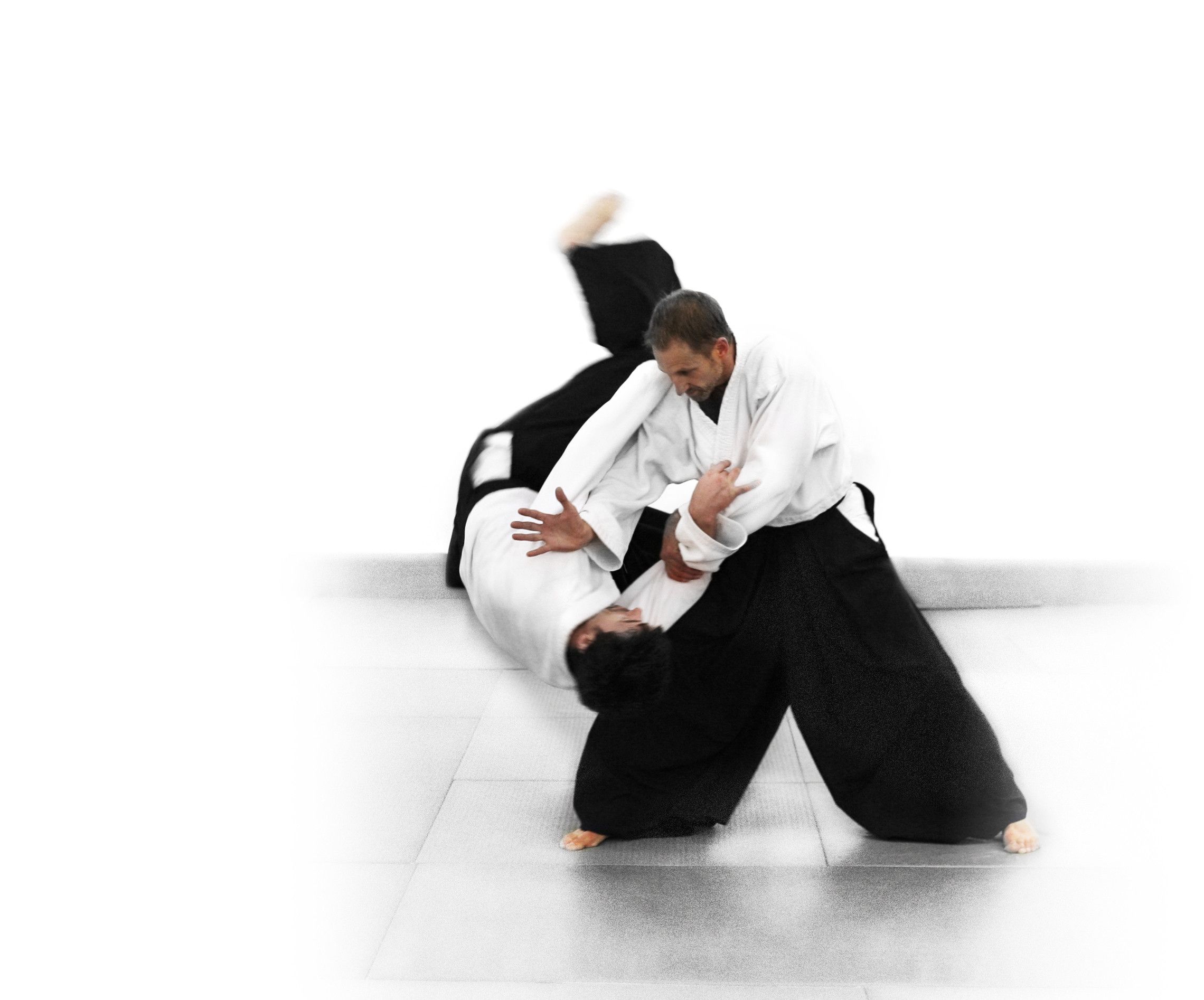 Aikido Wallpapers