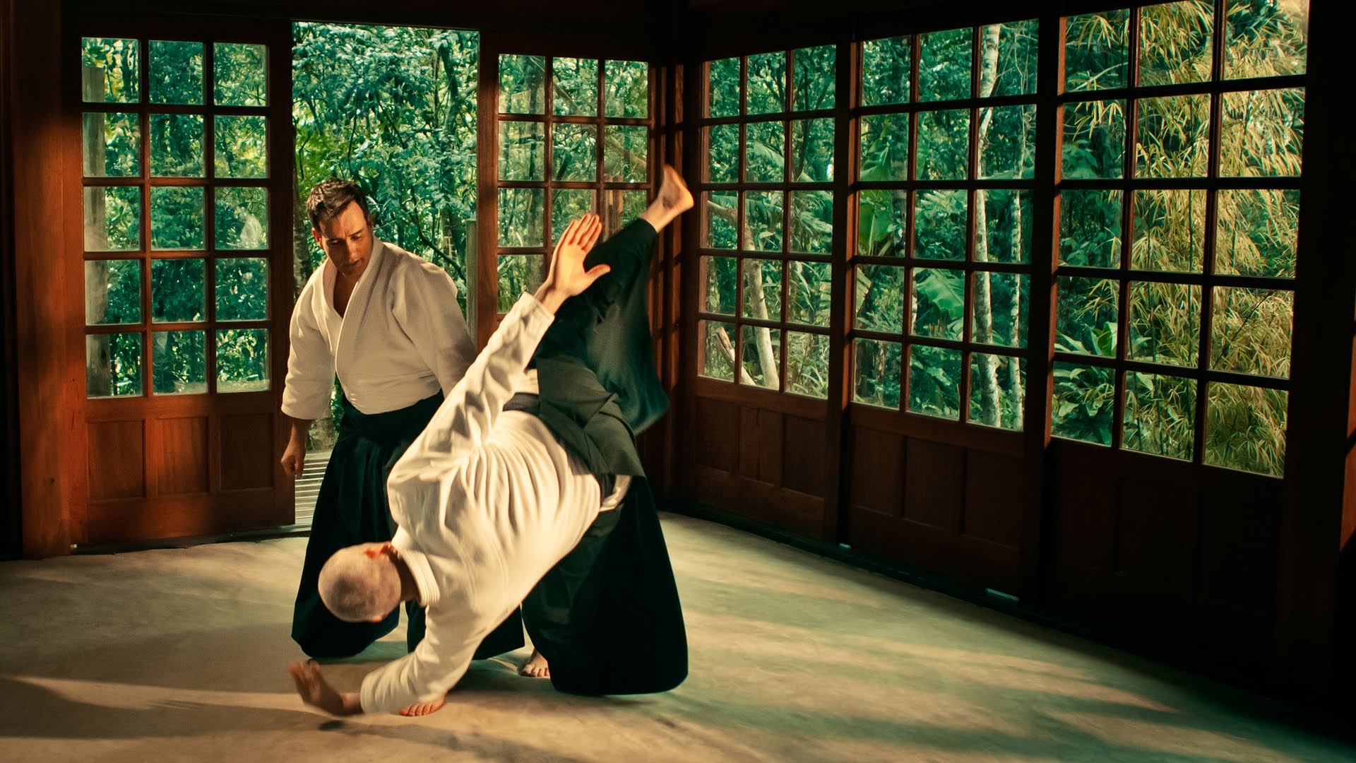 Aikido Wallpapers