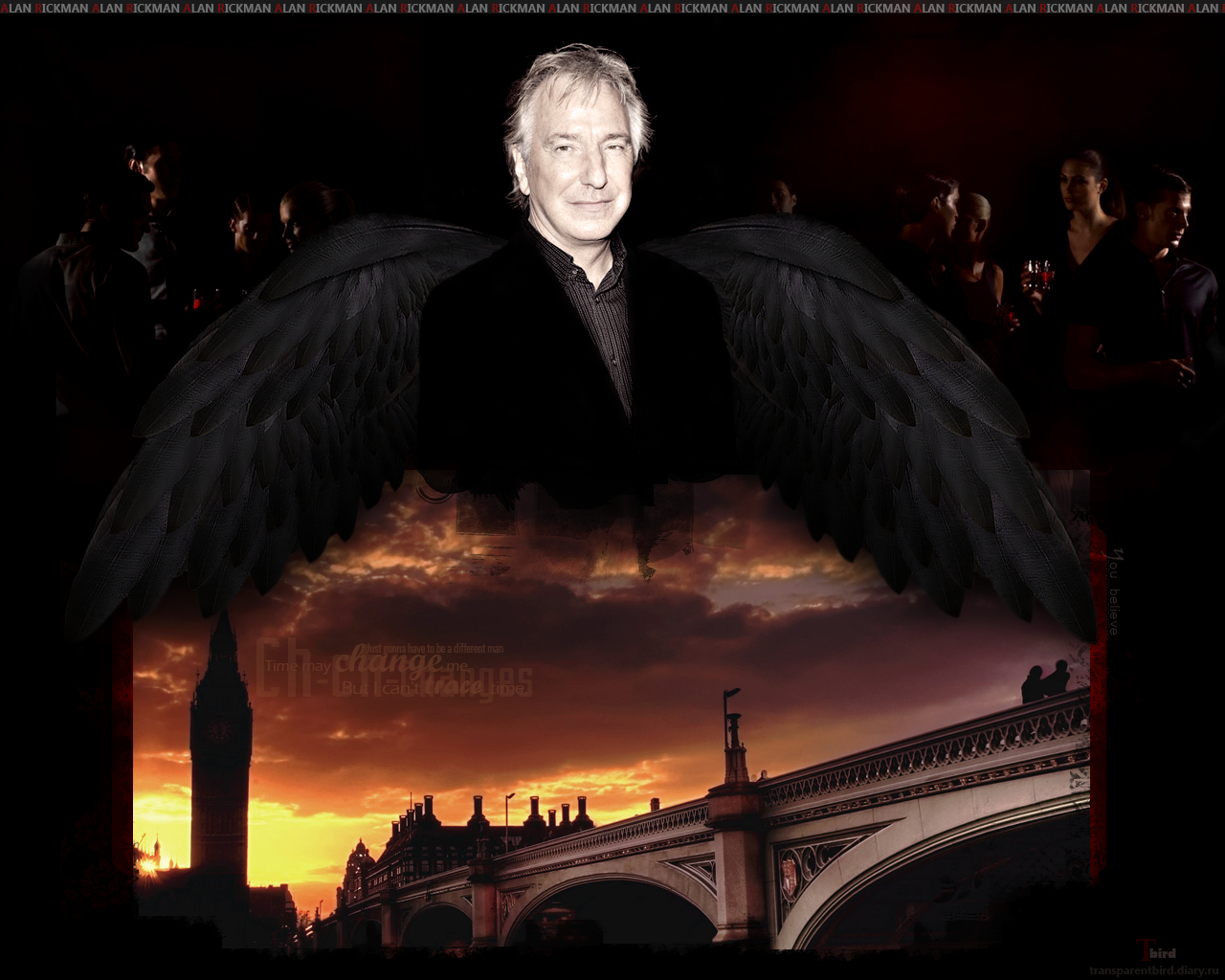 Alan Rickman Wallpapers