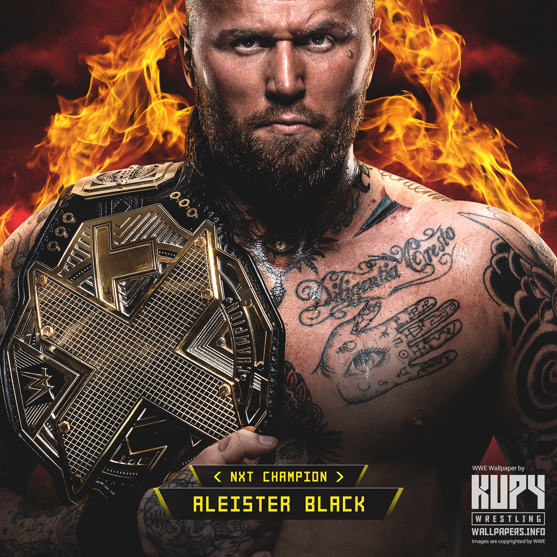 Aleister Black Wallpapers