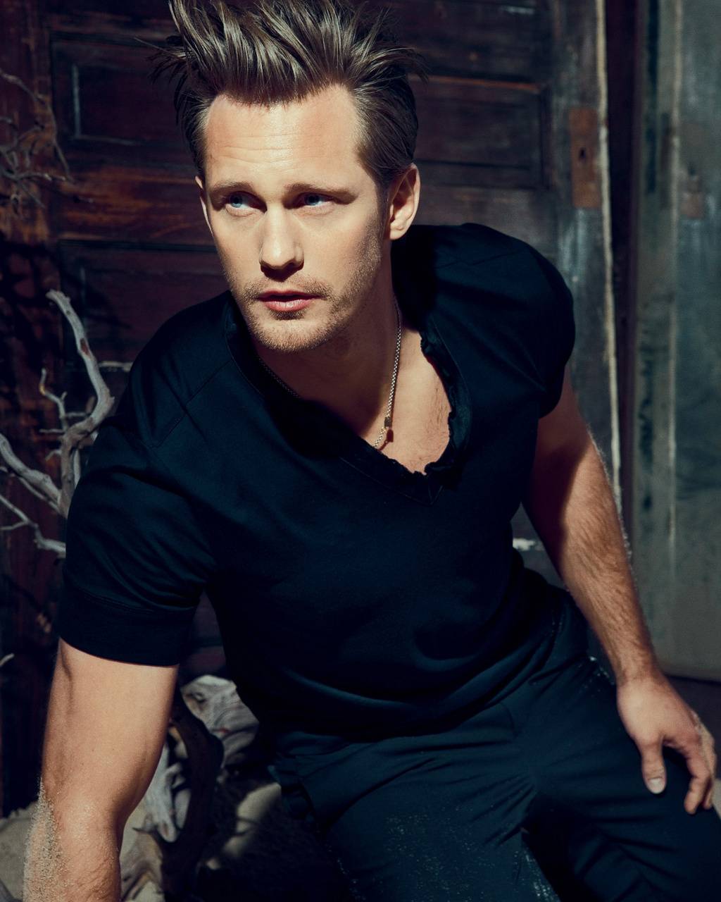 Alexander Skarsg?rd Wallpapers