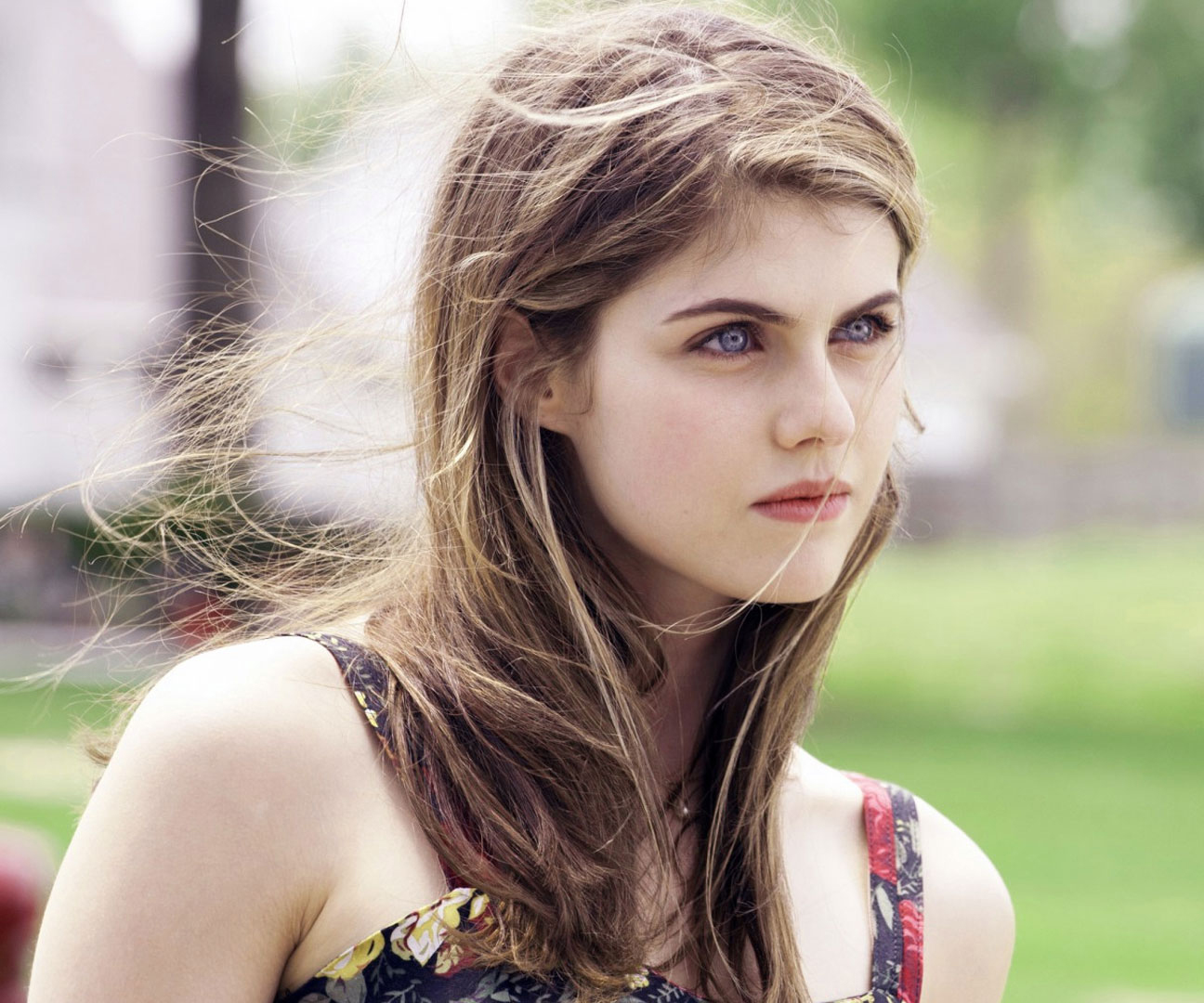 Alexandra Daddario 2020 Photoshoot Wallpapers