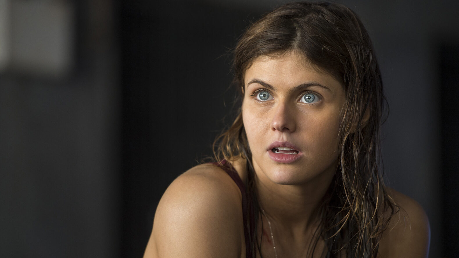 Alexandra Daddario In Car Wallpapers