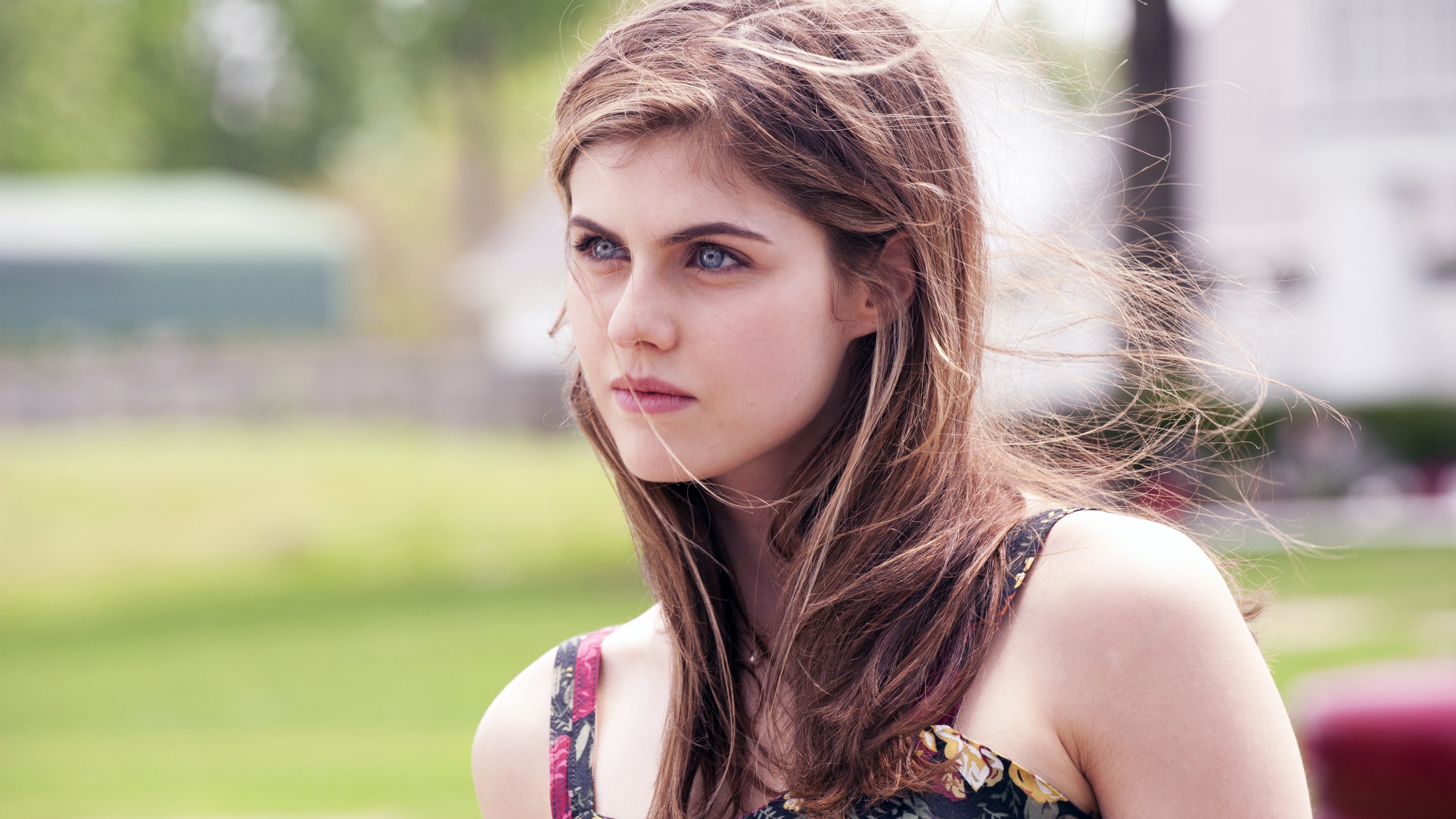 Alexandra Daddario In Car Wallpapers