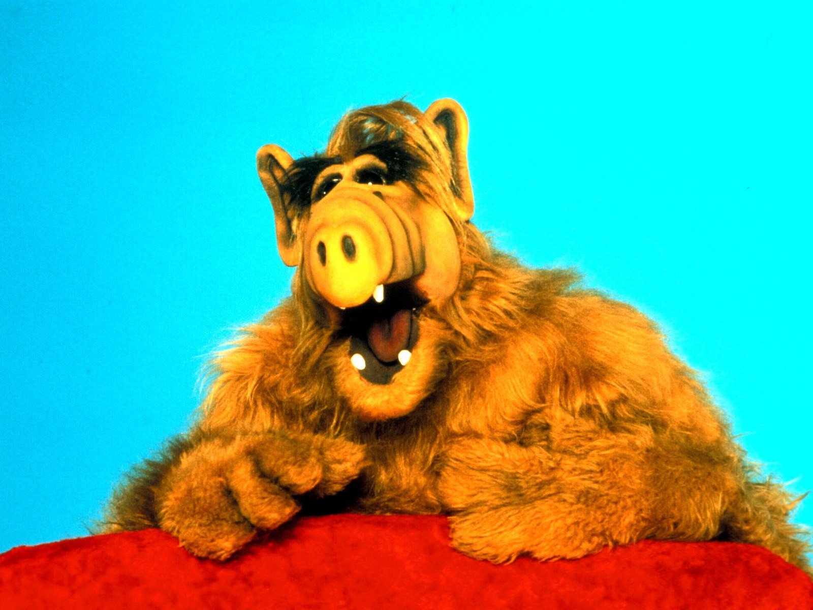 Alf Wallpapers