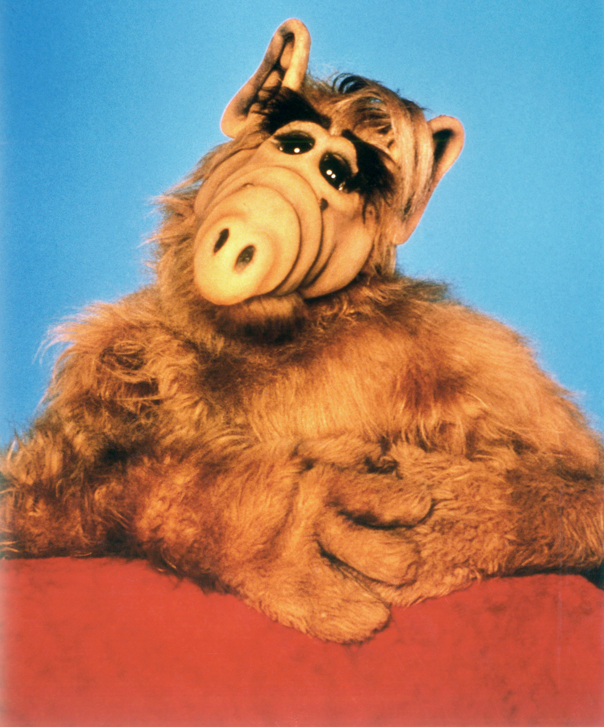 Alf Wallpapers