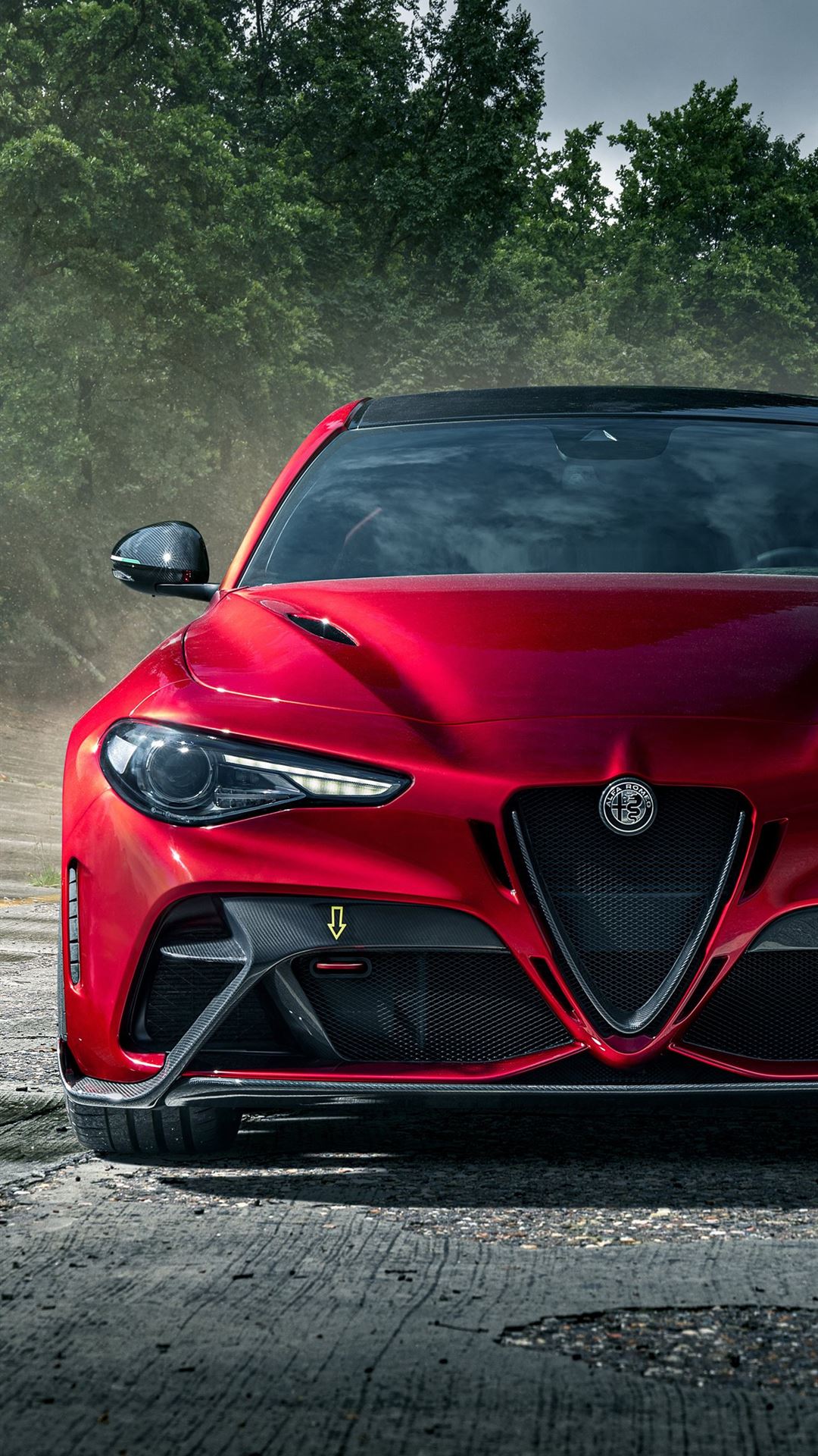 Alfa Romeo Alfa 6 Wallpapers