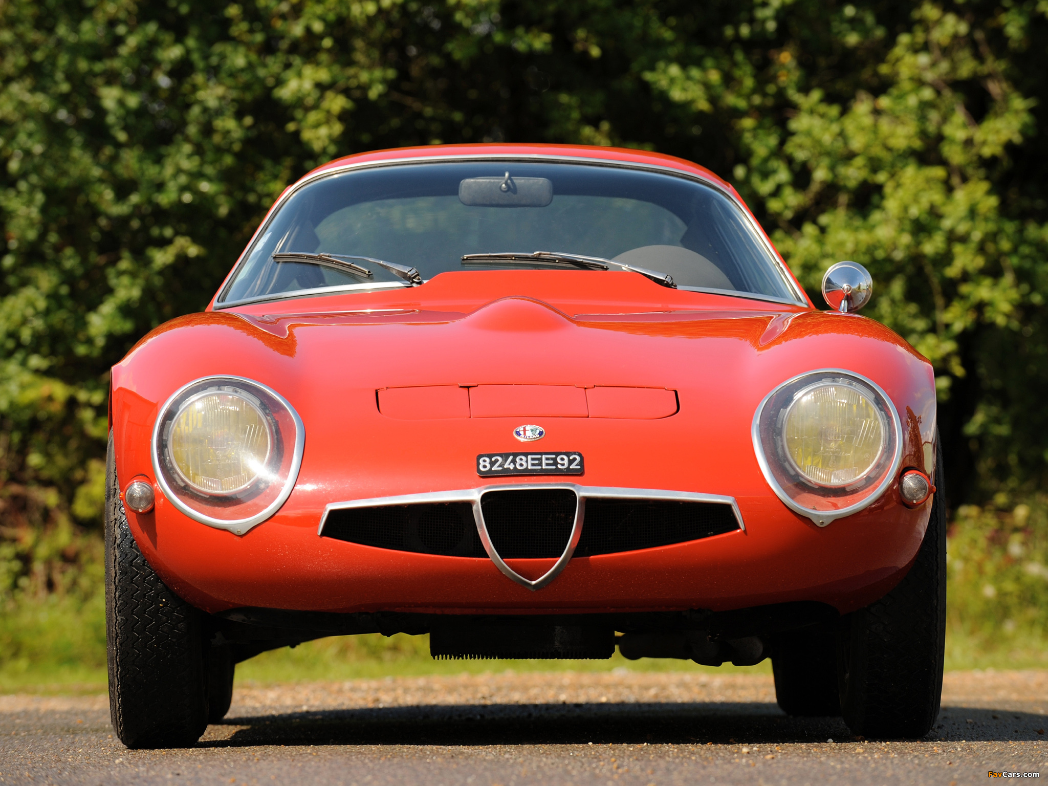 Alfa Romeo Giulia Tz Wallpapers