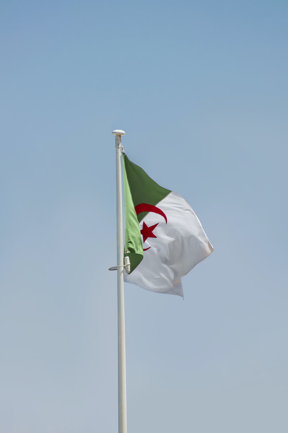 Algeria Flag Wallpapers