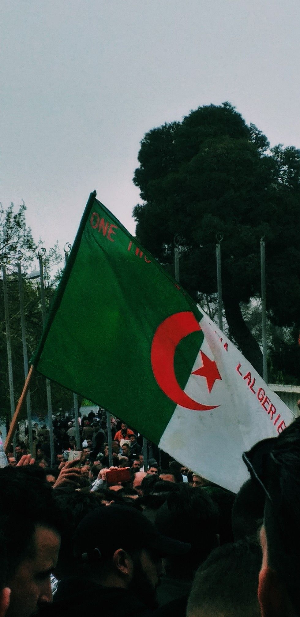 Algeria Flag Wallpapers