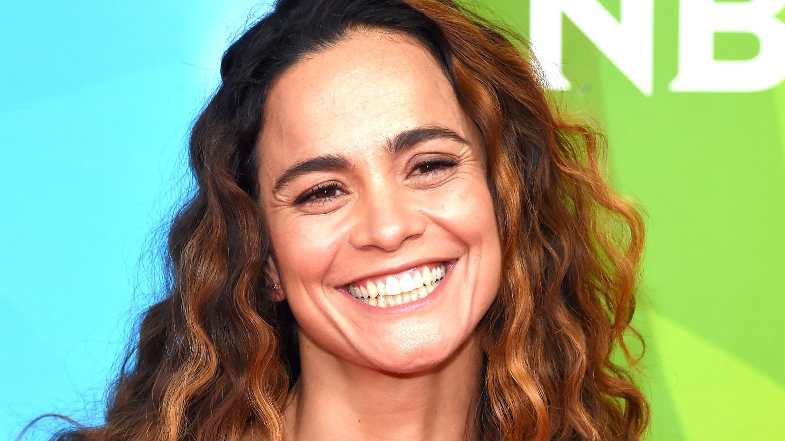 Alice Braga Wallpapers