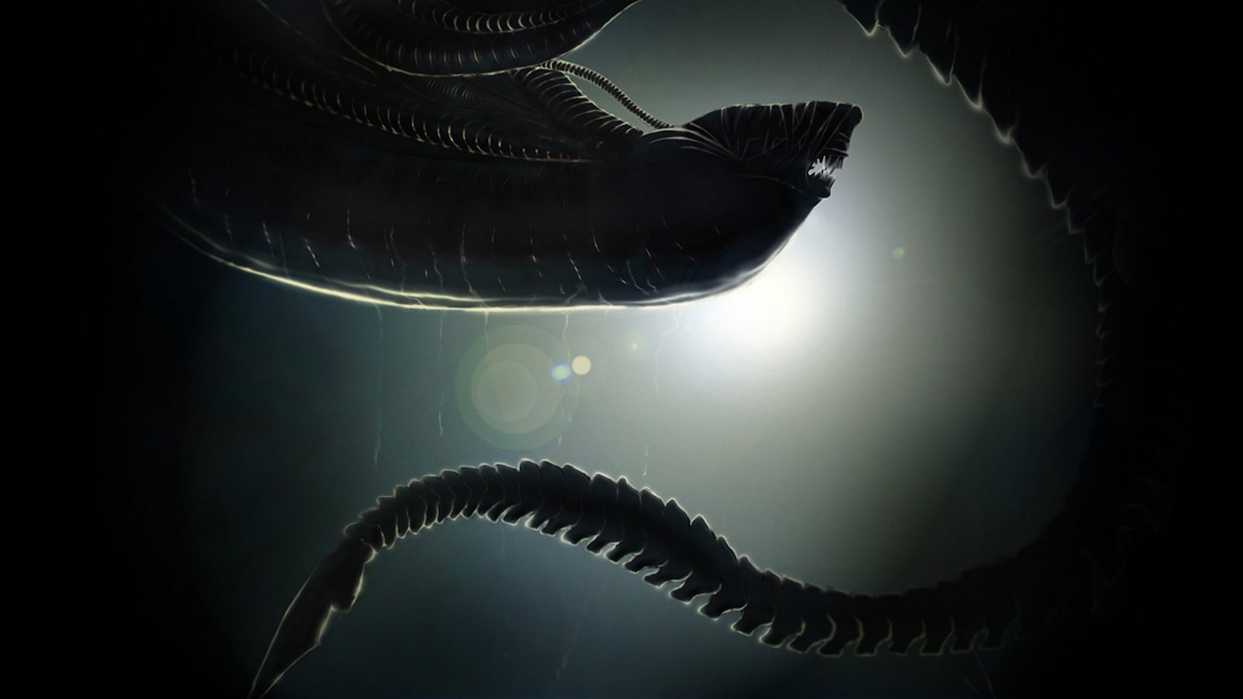 Alien Isolation 1080P Wallpapers