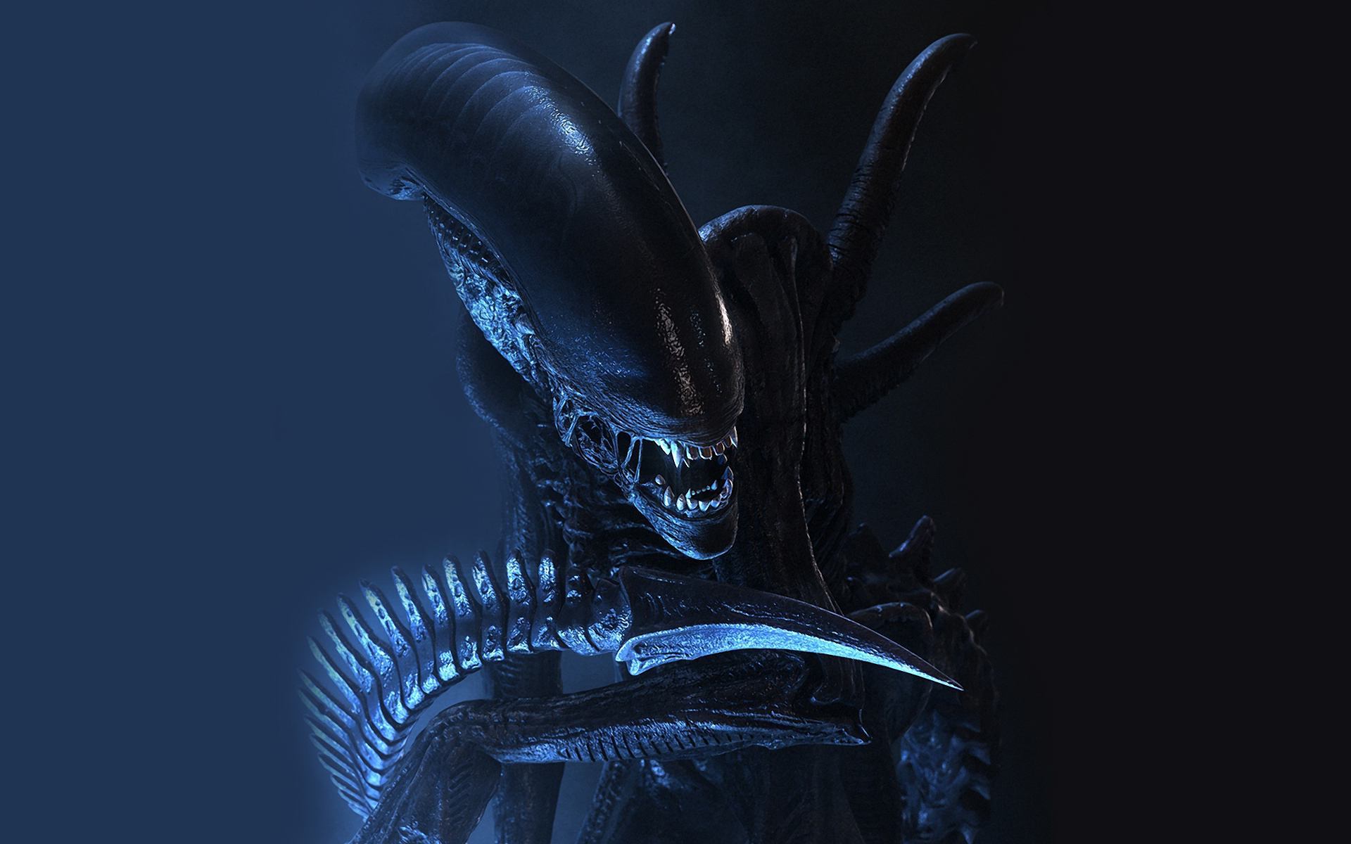 Alien Movie Xenomorph Artwork Wallpapers