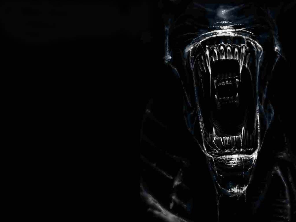 Alien Movie Xenomorph Artwork Wallpapers