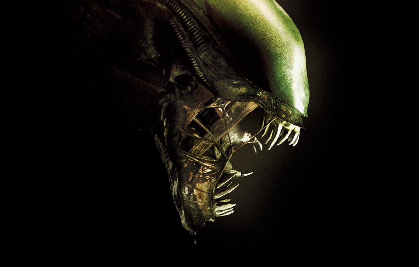 Aliens Movie Wallpapers