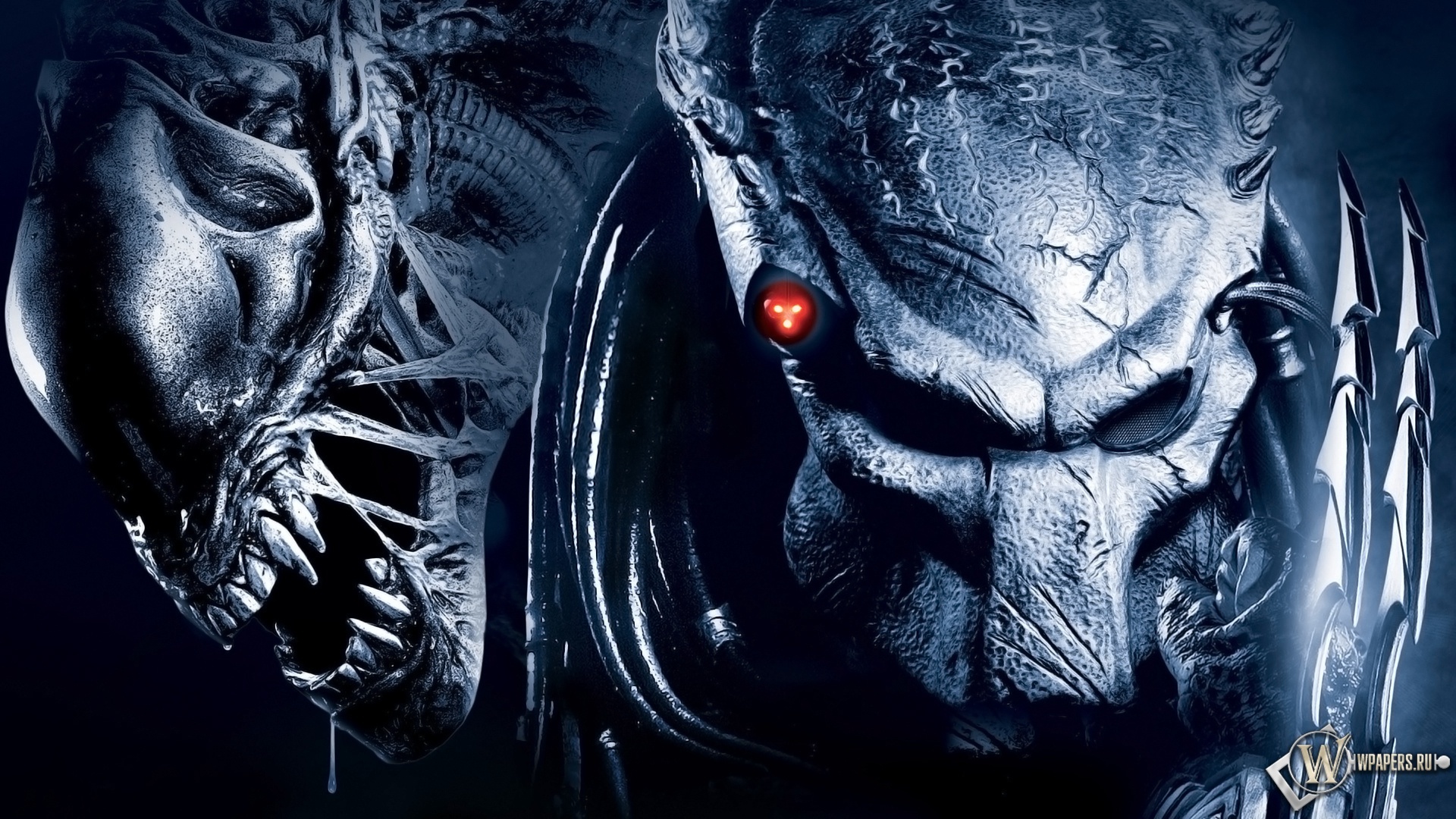 Aliens Vs. Predator Wallpapers