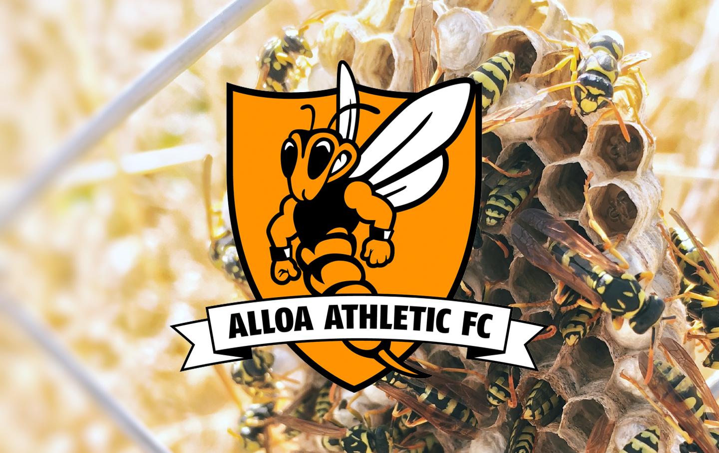 Alloa Athletic F.C. Wallpapers