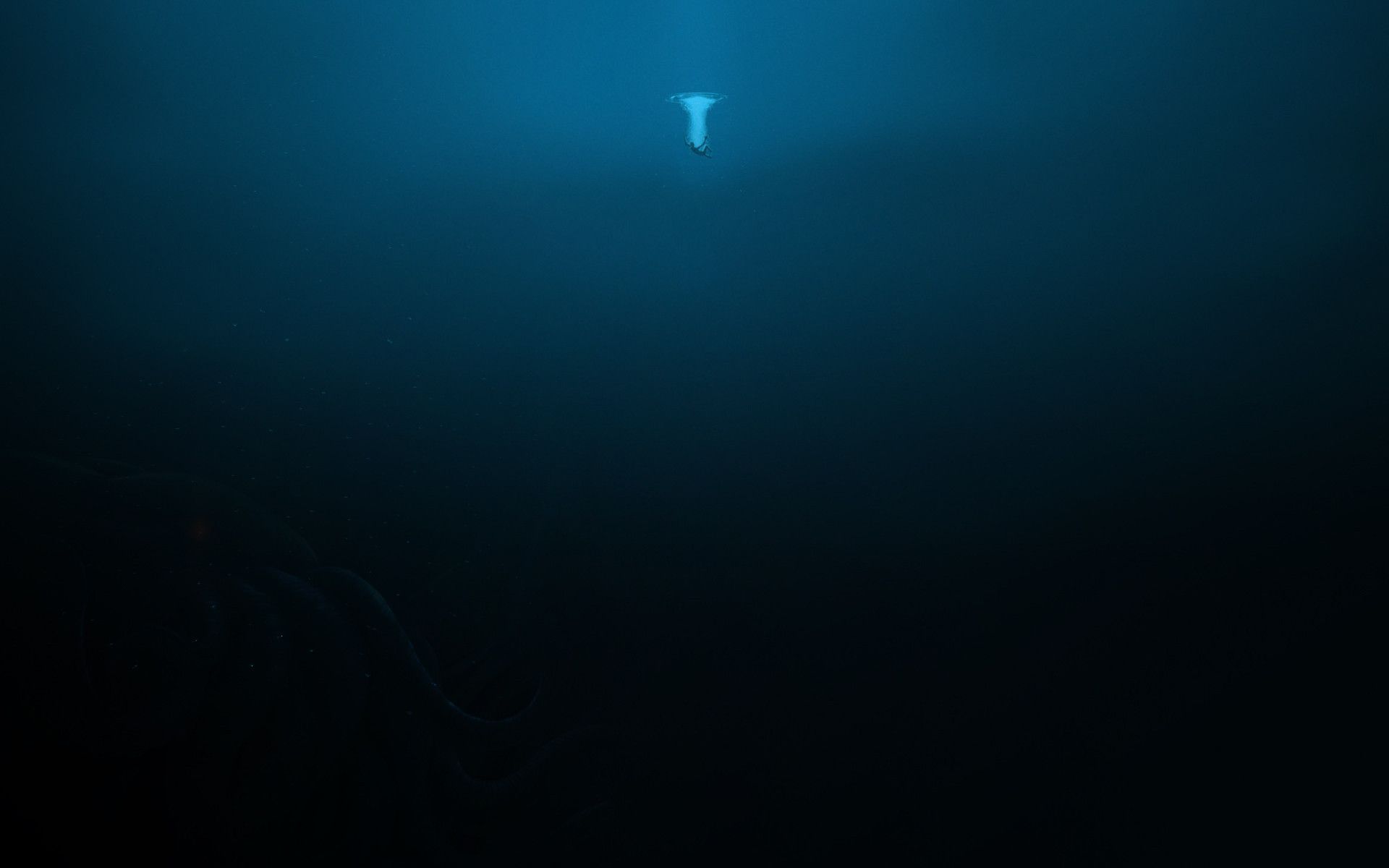 Alone In The Depths Of The Ocean Wallpapers