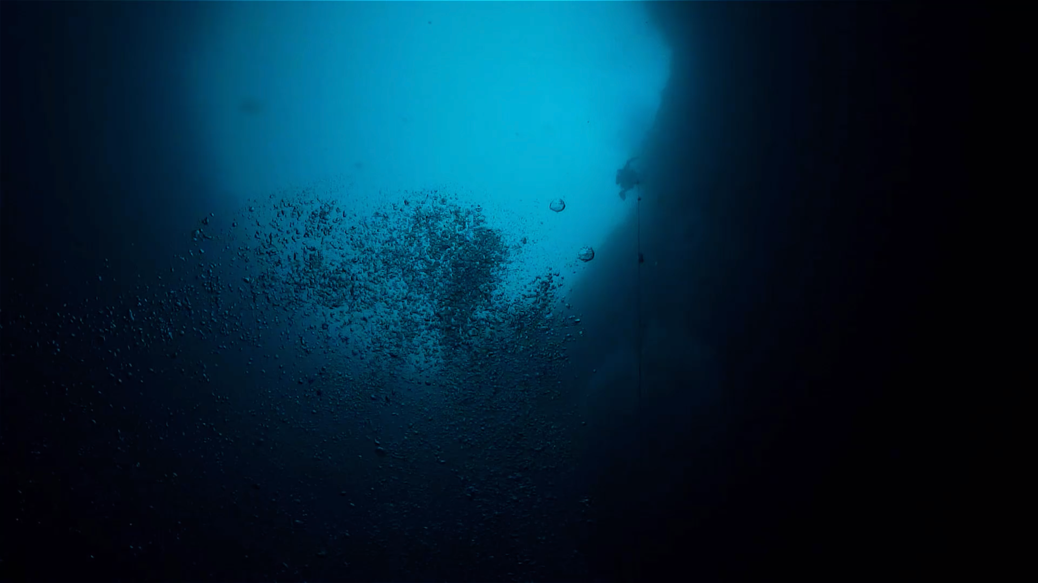 Alone In The Depths Of The Ocean Wallpapers