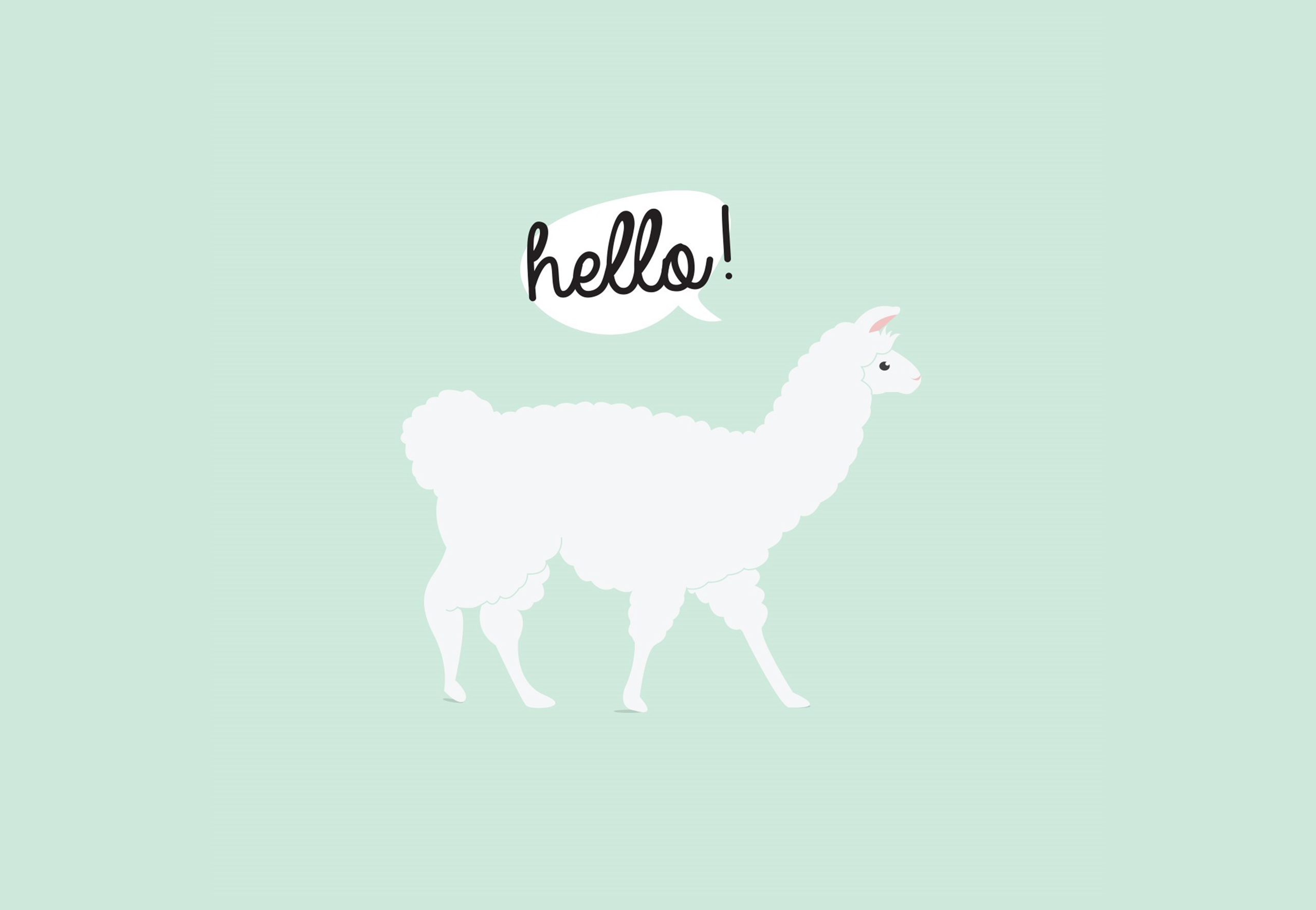 Alpaca Wallpapers