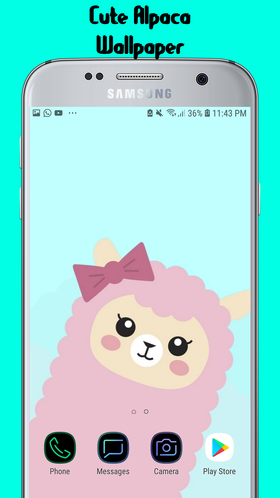 Alpaca Wallpapers