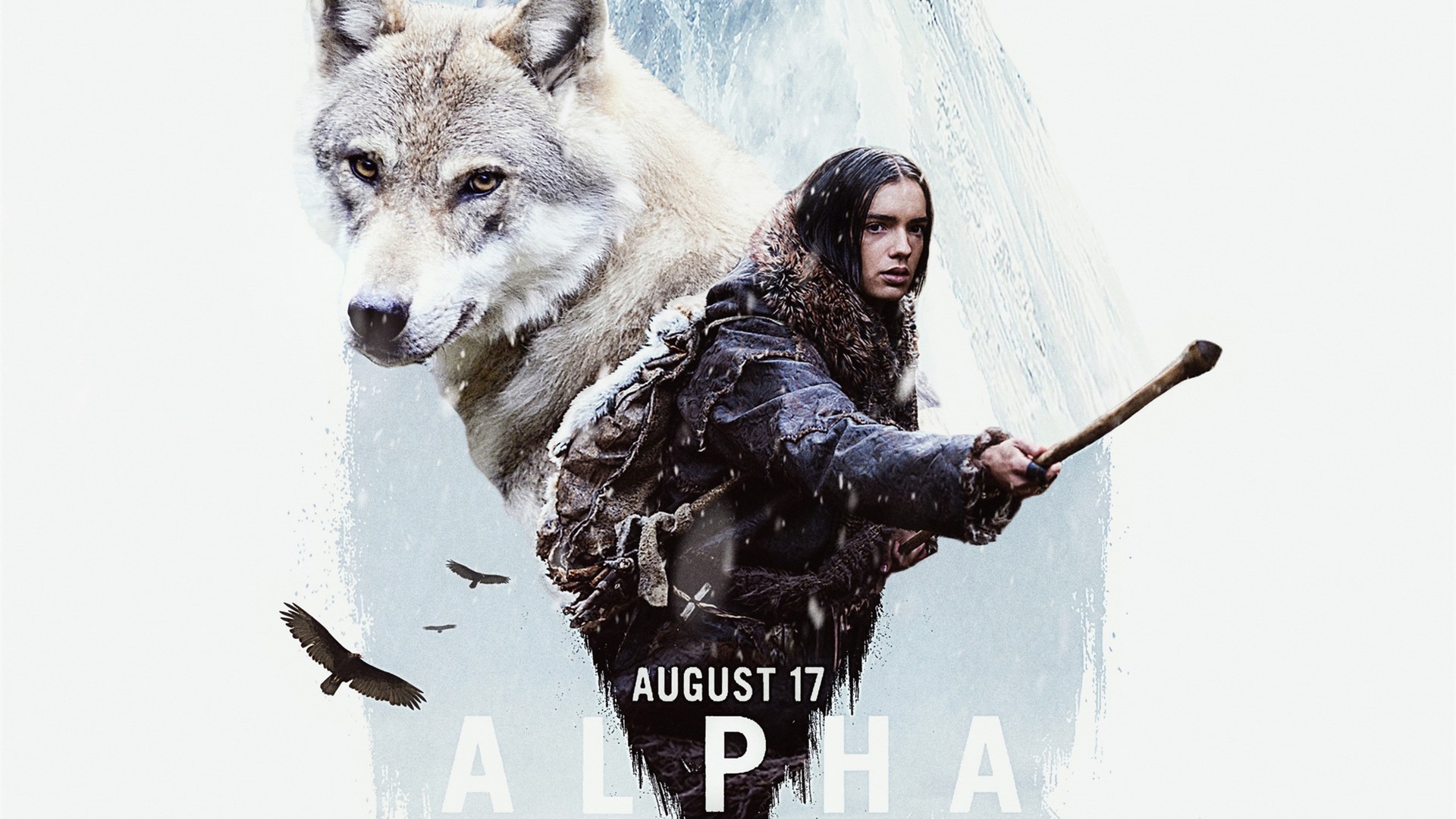 Alpha Wolf Pictures Wallpapers