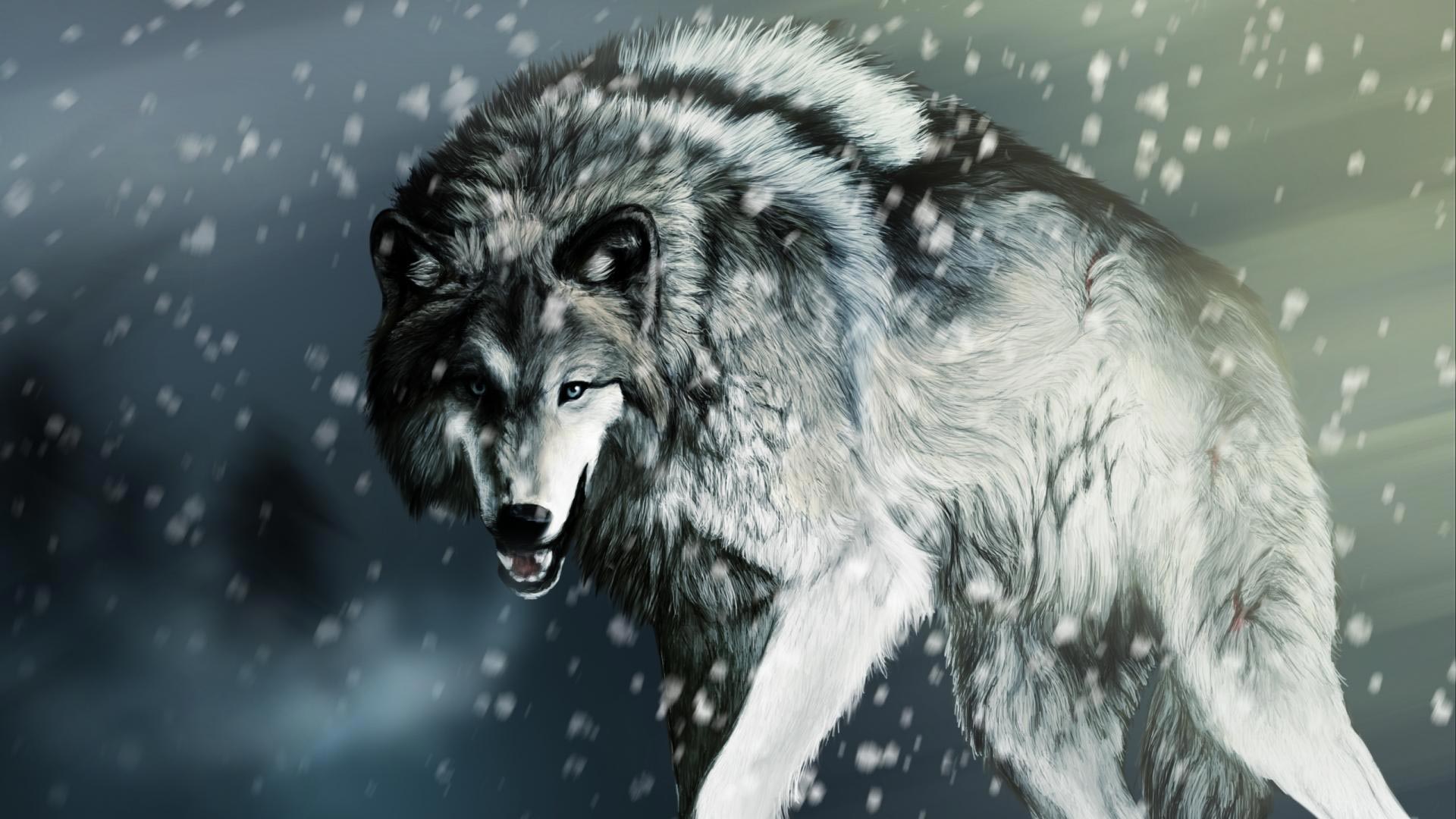 Alpha Wolf Pictures Wallpapers