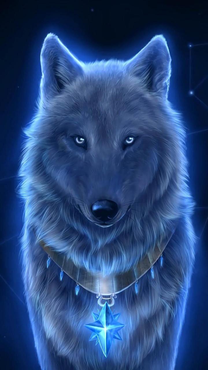 Alpha Wolf Pictures Wallpapers