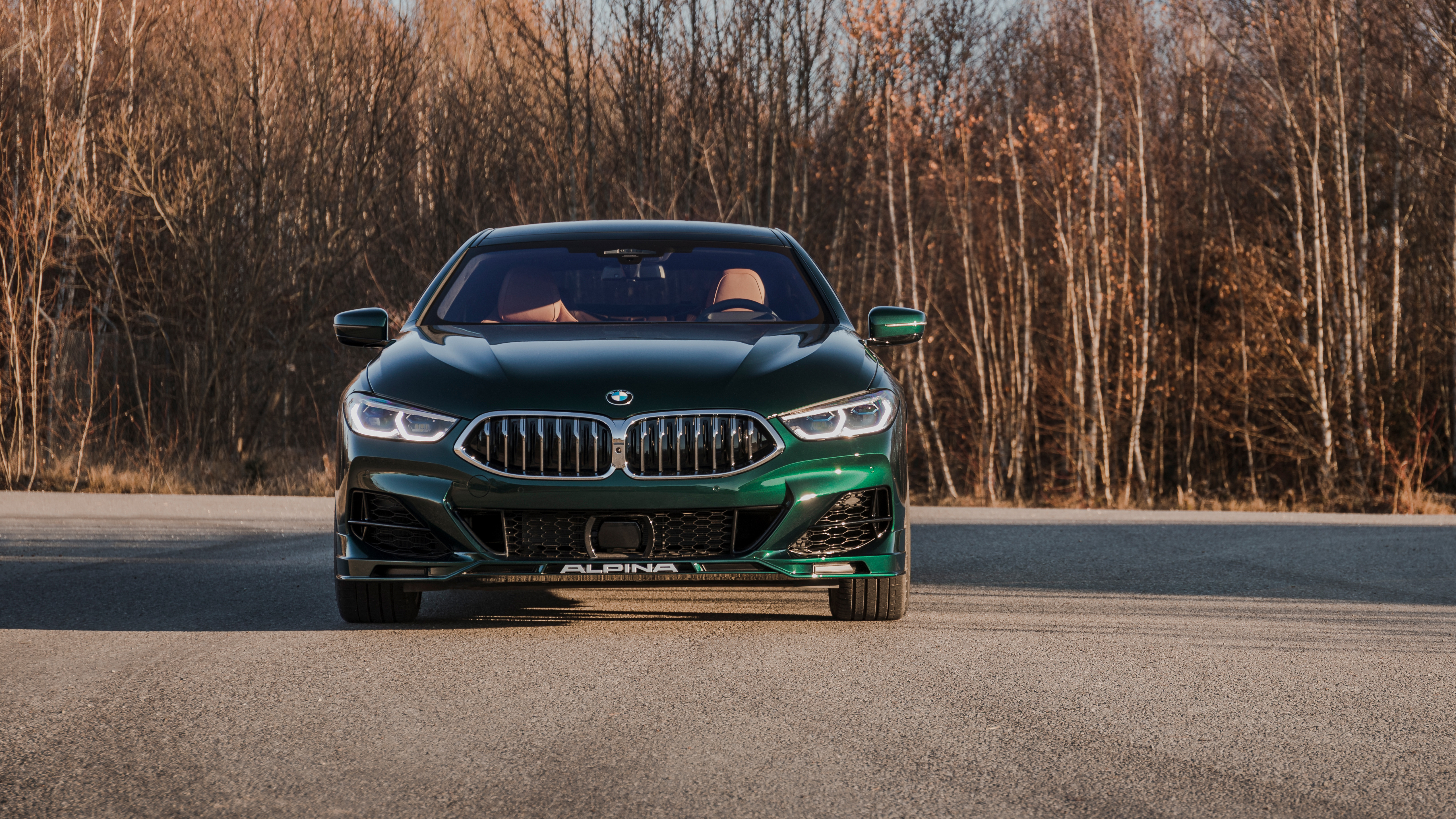 Alpina B8 Wallpapers