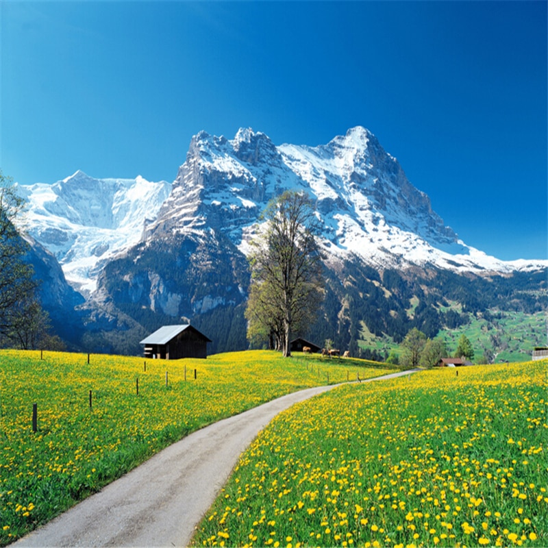 Alps Background