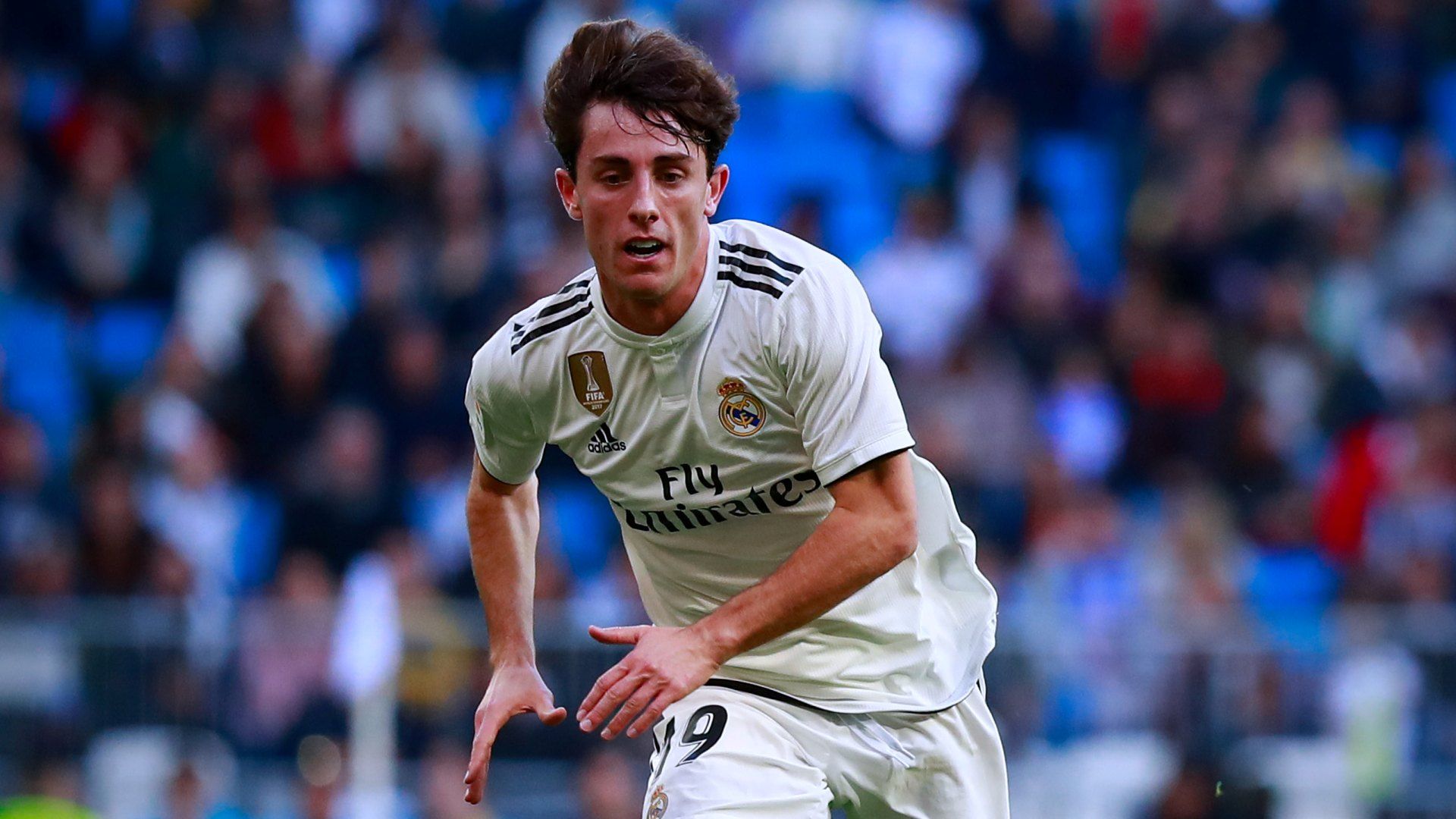 Alvaro Odriozola Wallpapers