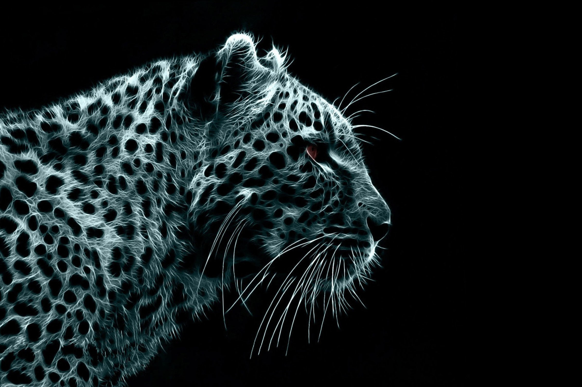 Amazing Animal Backgrounds