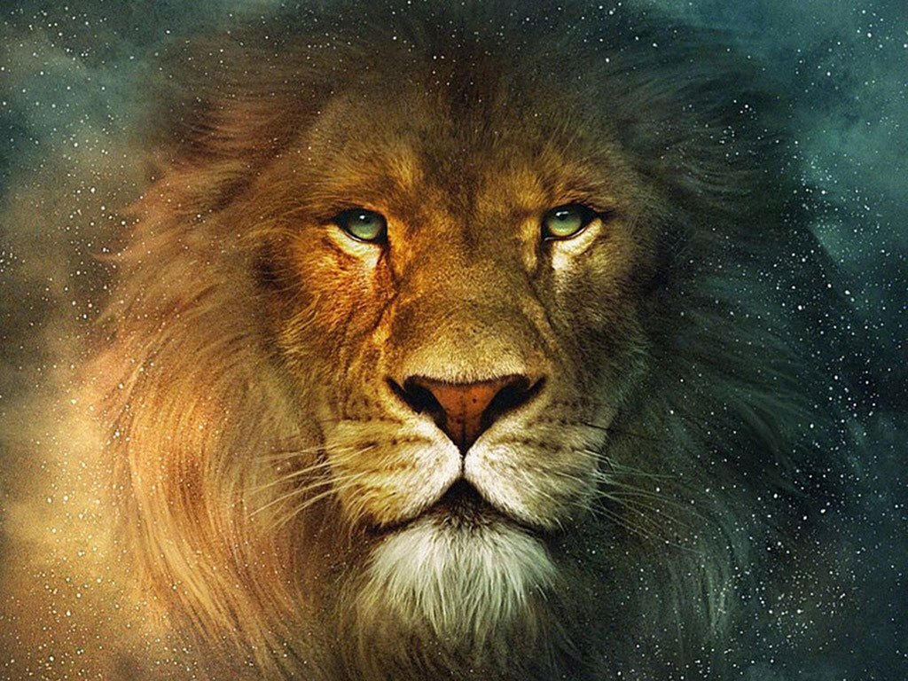 Amazing Lion Wallpapers