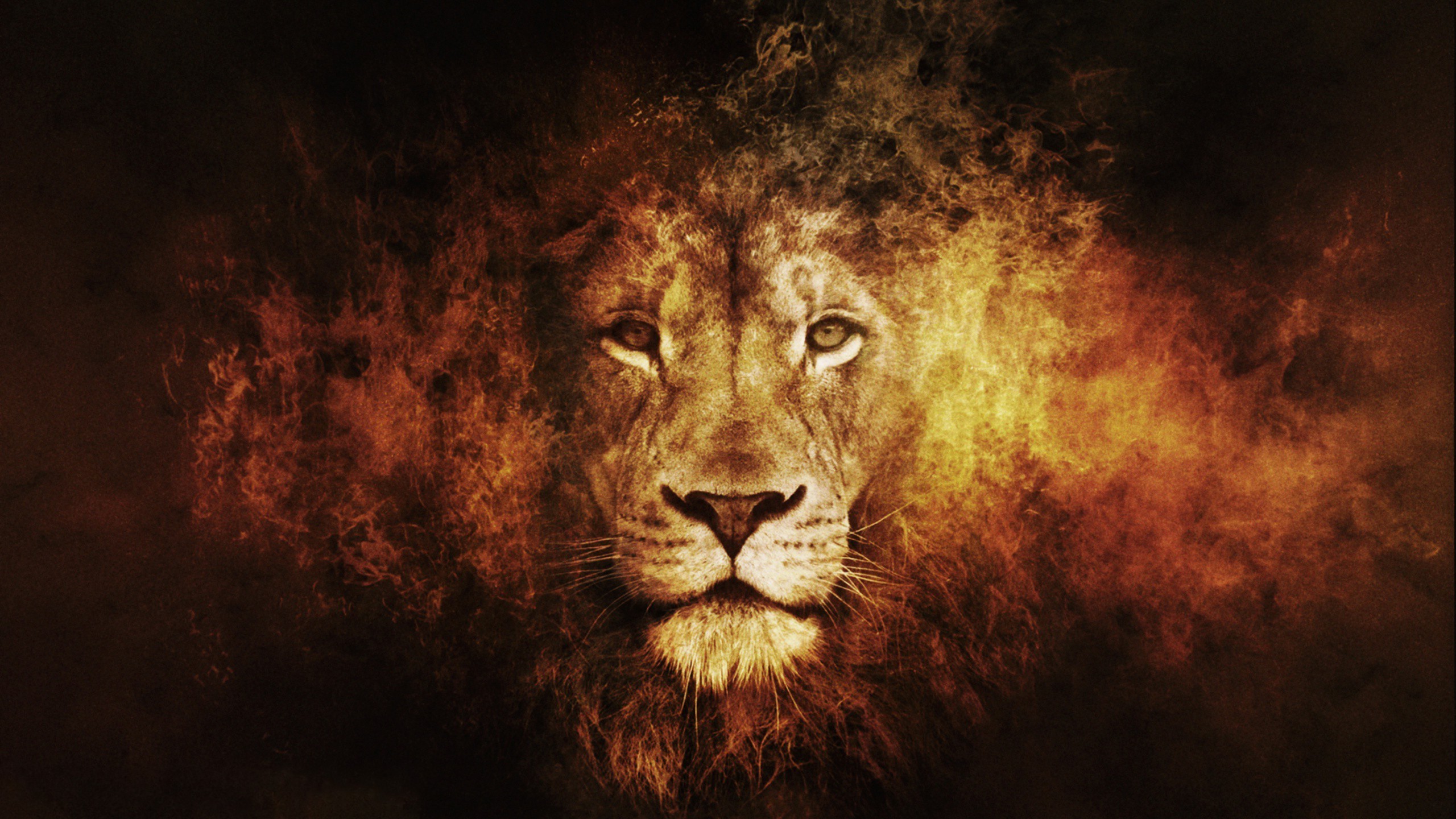 Amazing Lion Wallpapers